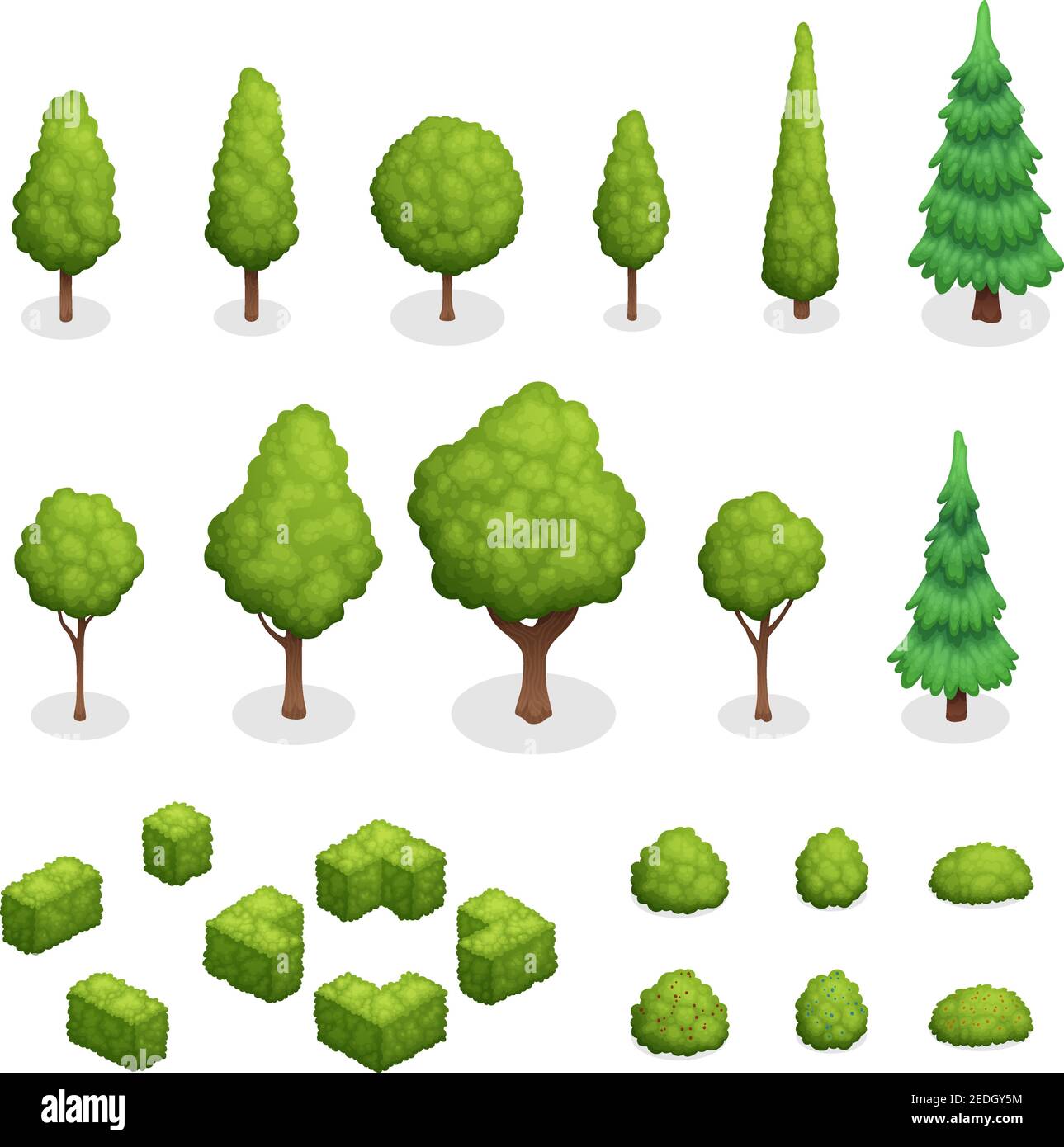 Ensemble isométrique de plantes de parc avec arbres verts et buissons illustration vectorielle isolée de différentes formes Illustration de Vecteur