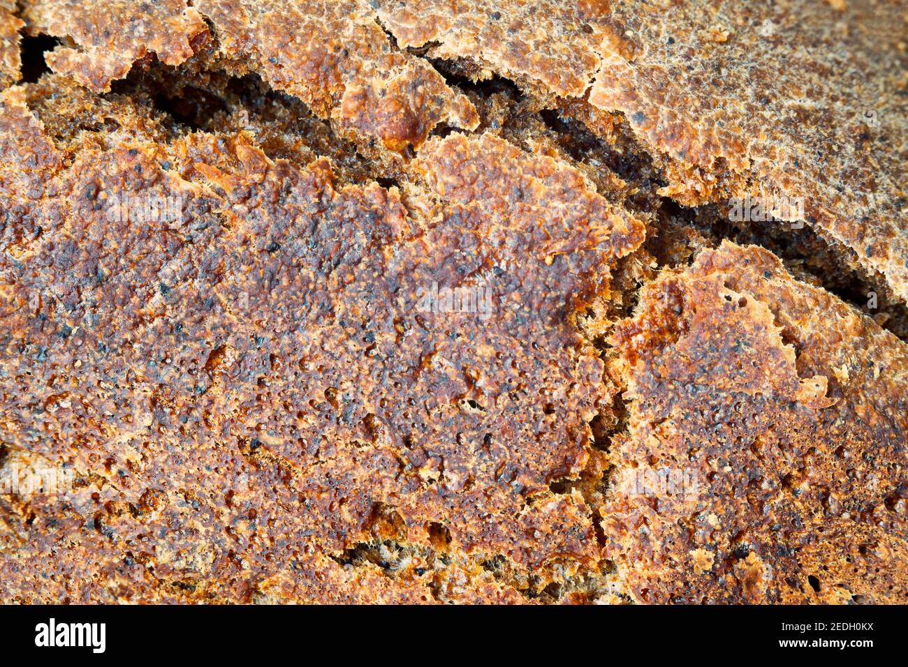 Pain de seigle fraîchement cuit dans des fissures en gros plan Banque D'Images