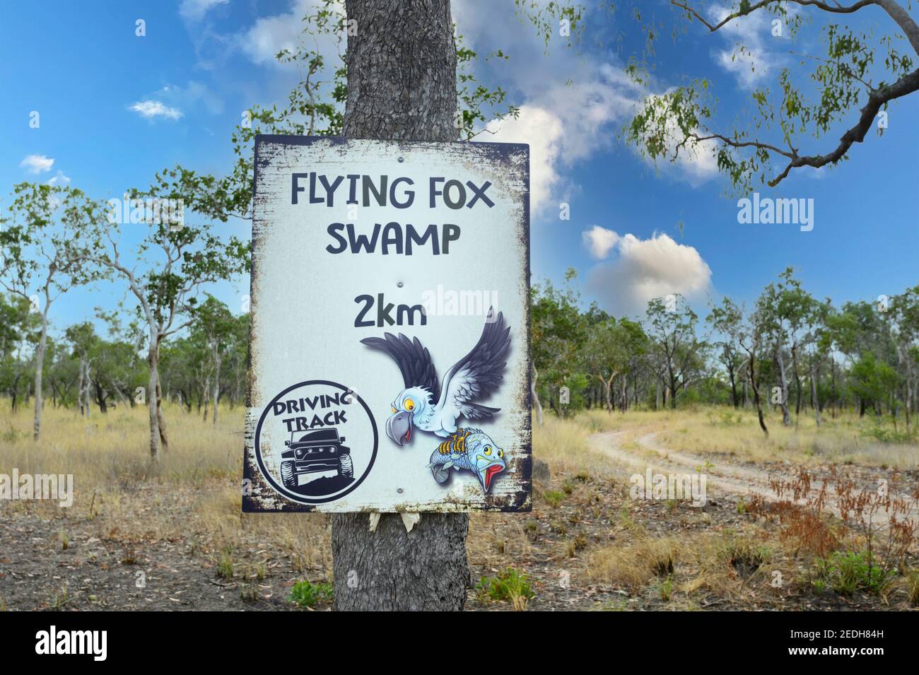 Panneau de direction pour Flying Fox Swamp sur une piste de terre reculée, Lorella Springs Wilderness Park, près de Borroloola, territoire du Nord, territoire du Nord, Australie Banque D'Images