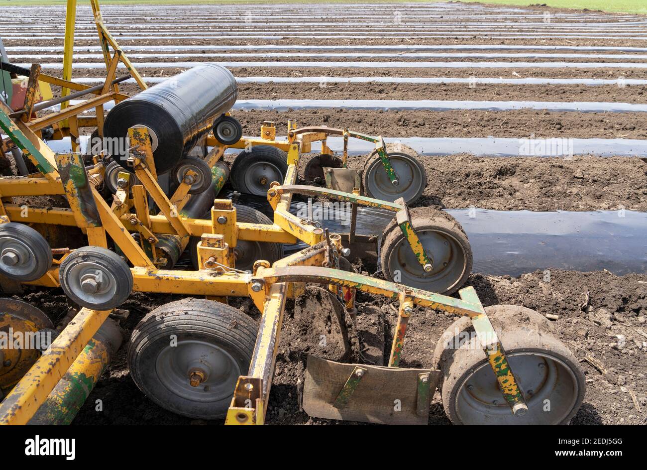 Équipement de tracteur pour la pose de paillis en plastique - production végétale intensive. Banque D'Images