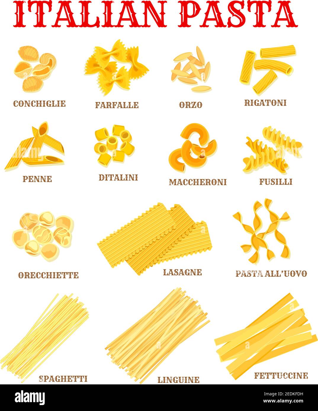 Liste des pâtes italiennes de différentes formes avec des noms. Affiche  macaroni de cuisine italienne avec spaghetti, rigatoni, penne, fusilli,  farfalle, lasagnes, nouilles Image Vectorielle Stock - Alamy