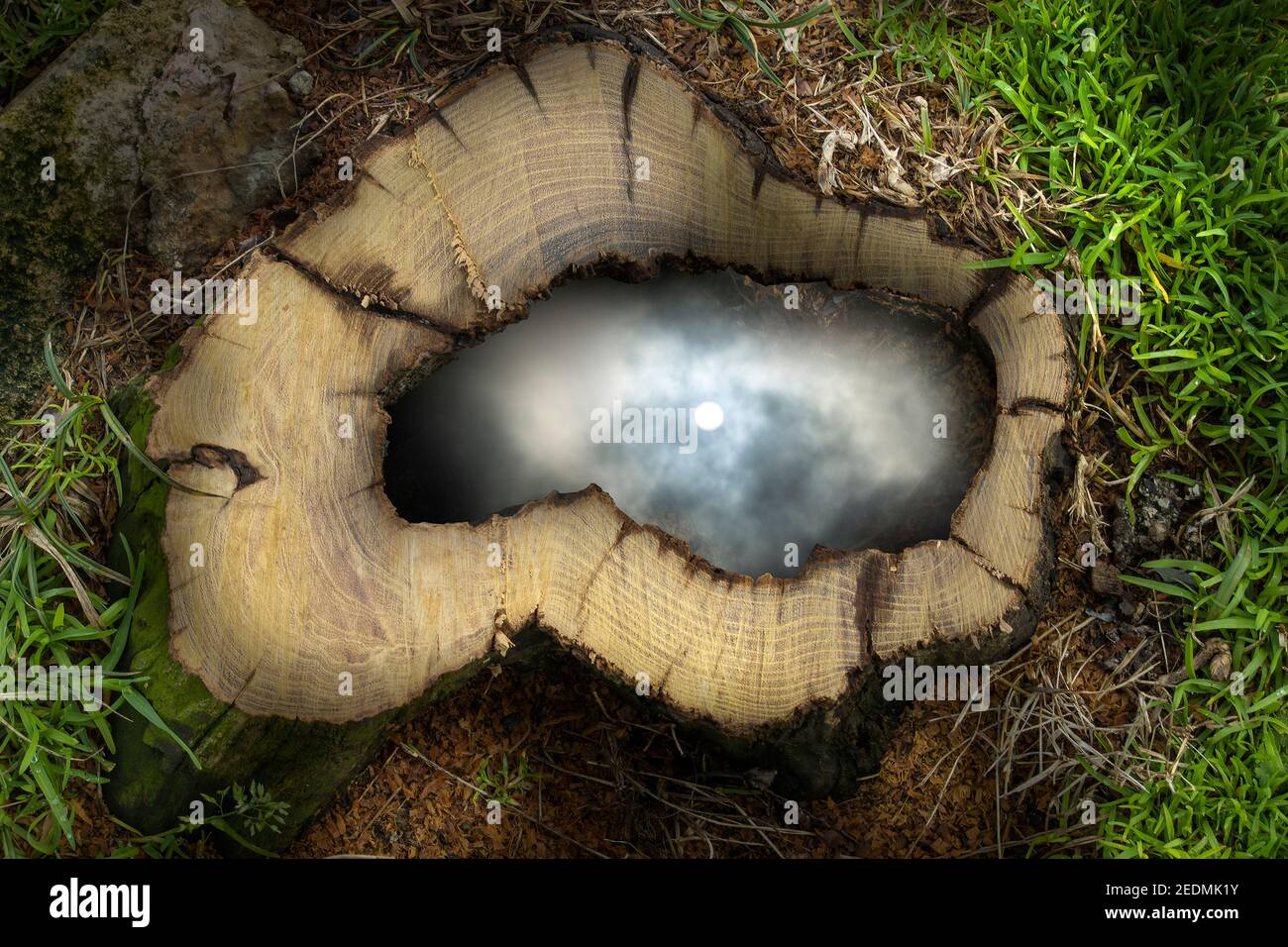 Réflexe du ciel avec le soleil dans l'eau à l'intérieur du trou de coffre fraîchement coupé. Herbe verte qui pousse autour. Banque D'Images Réflexe du ciel avec le soleil dans l'eau à l'intérieur du trou de coffre fraîchement coupé. Herbe verte qui pousse autour. Banque D'Images