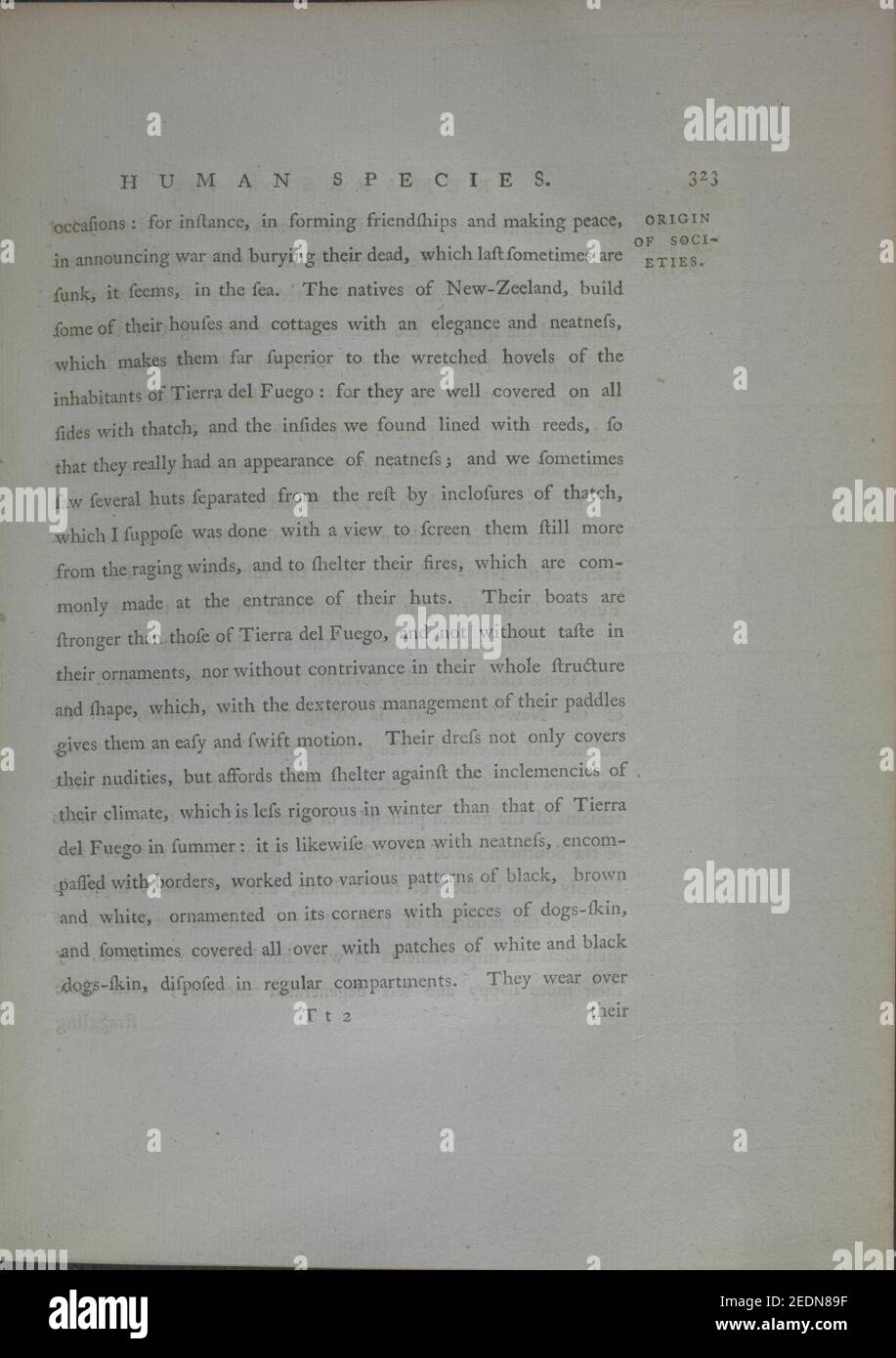 Observations faites au cours d'un voyage autour du monde (en H.M.S. Résolution) sur la géographie physique, l'histoire naturelle et la philosophie éthique, en particulier (page 323) Banque D'Images