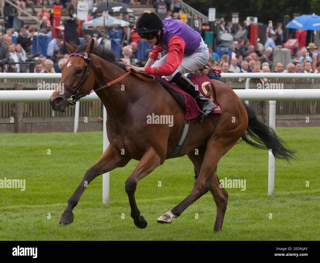 Courses hippiques - Newmarket July Festival - Newmarket Racecourse - 13/7/12 le verset gratuit de Brendan Powell remporte le 13.20 The Piper-Heidsieck E.B.F. Fillies' handicap Race obligatoire crédit: Images d'action / Julian Herbert Livepic Banque D'Images