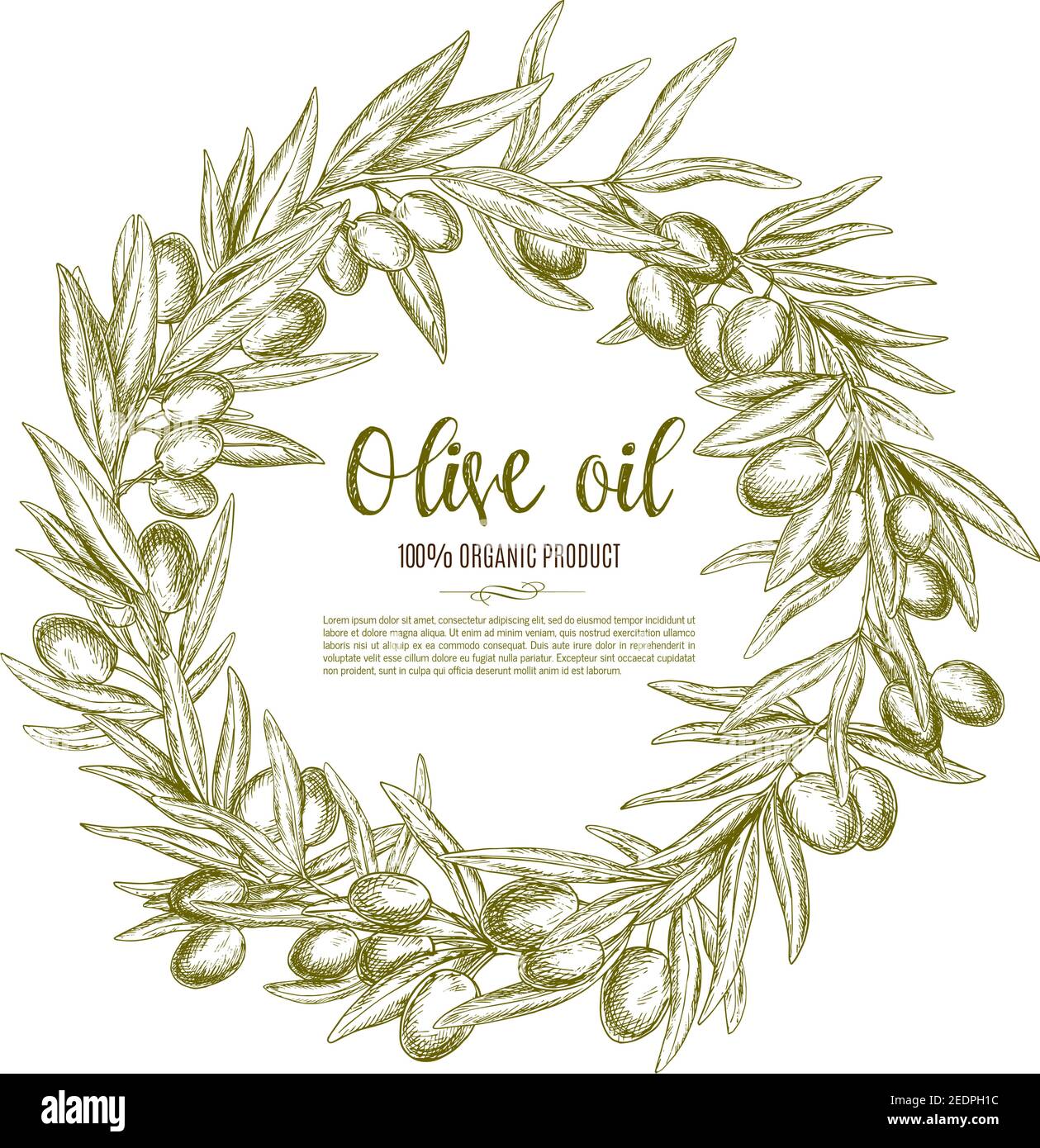 Étiquette de croquis de couronne de branche d'olive pour l'huile d'olive biologique naturelle. Branches d'olivier aux fruits et feuilles disposées dans un cadre rond avec espace de copie Illustration de Vecteur
