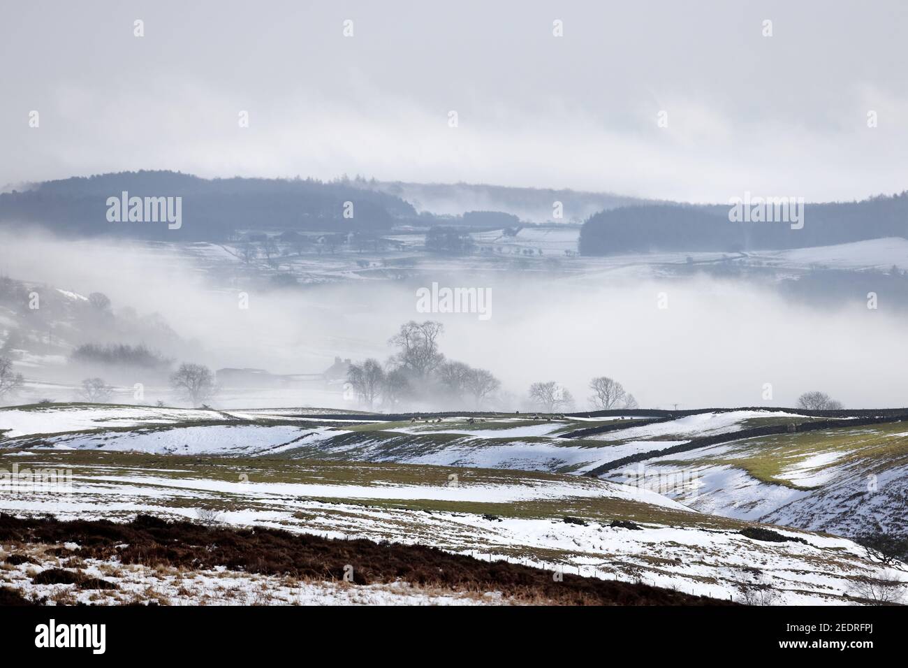 Teesdale, comté de Durham, Royaume-Uni. 15 février 2021. Météo Royaume-Uni. Des températures plus chaudes ont créé des taches de brouillard lorsque le dégel commence à enlever la neige des champs de Teesdale, dans le comté de Durham. Crédit : David Forster/Alamy Live News Banque D'Images