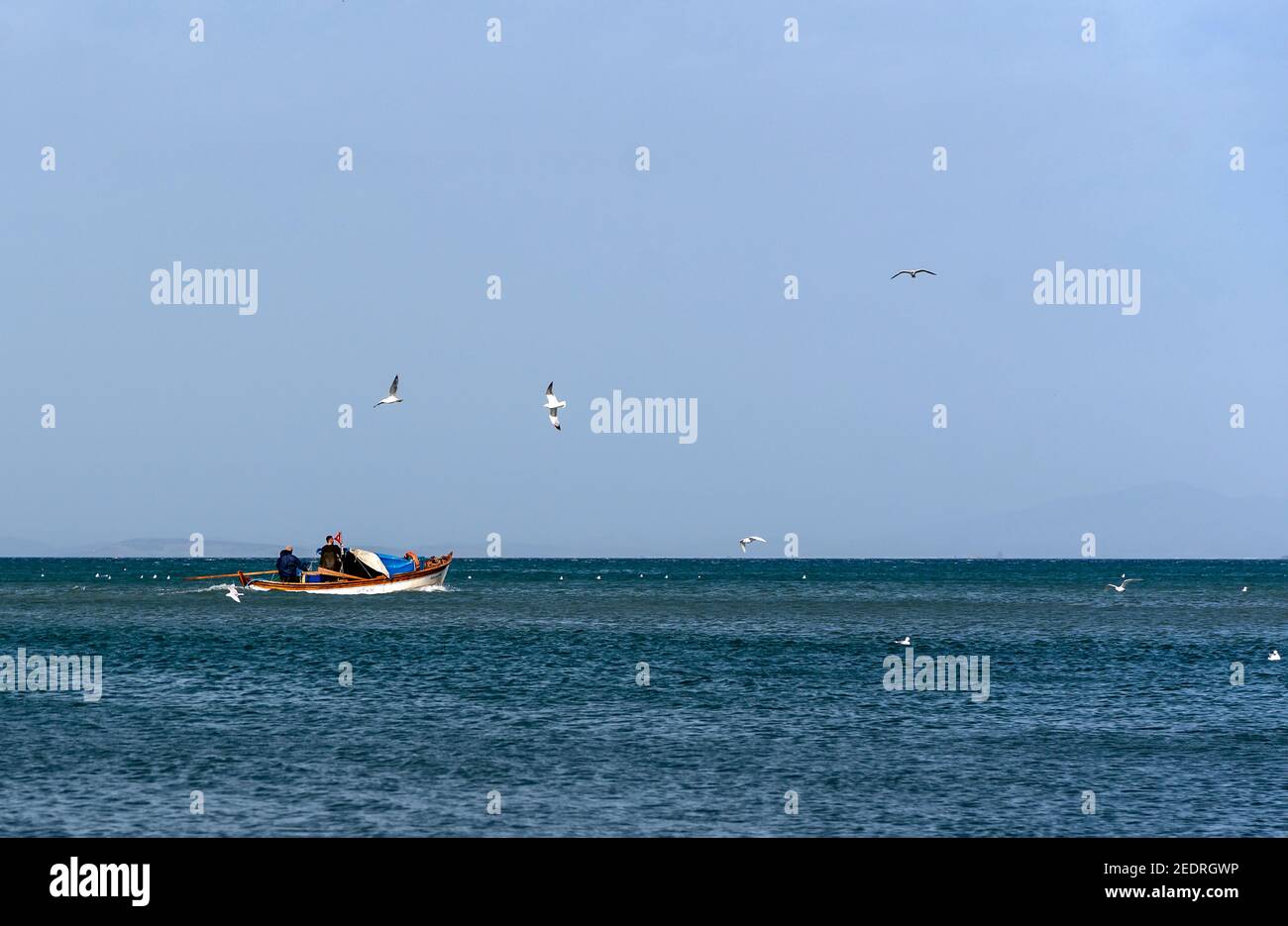 02,11,2021,Izmir,Turquie,petit bateau de pêche et les pêcheurs de retour de la pêche accompagnés par mouettes Banque D'Images