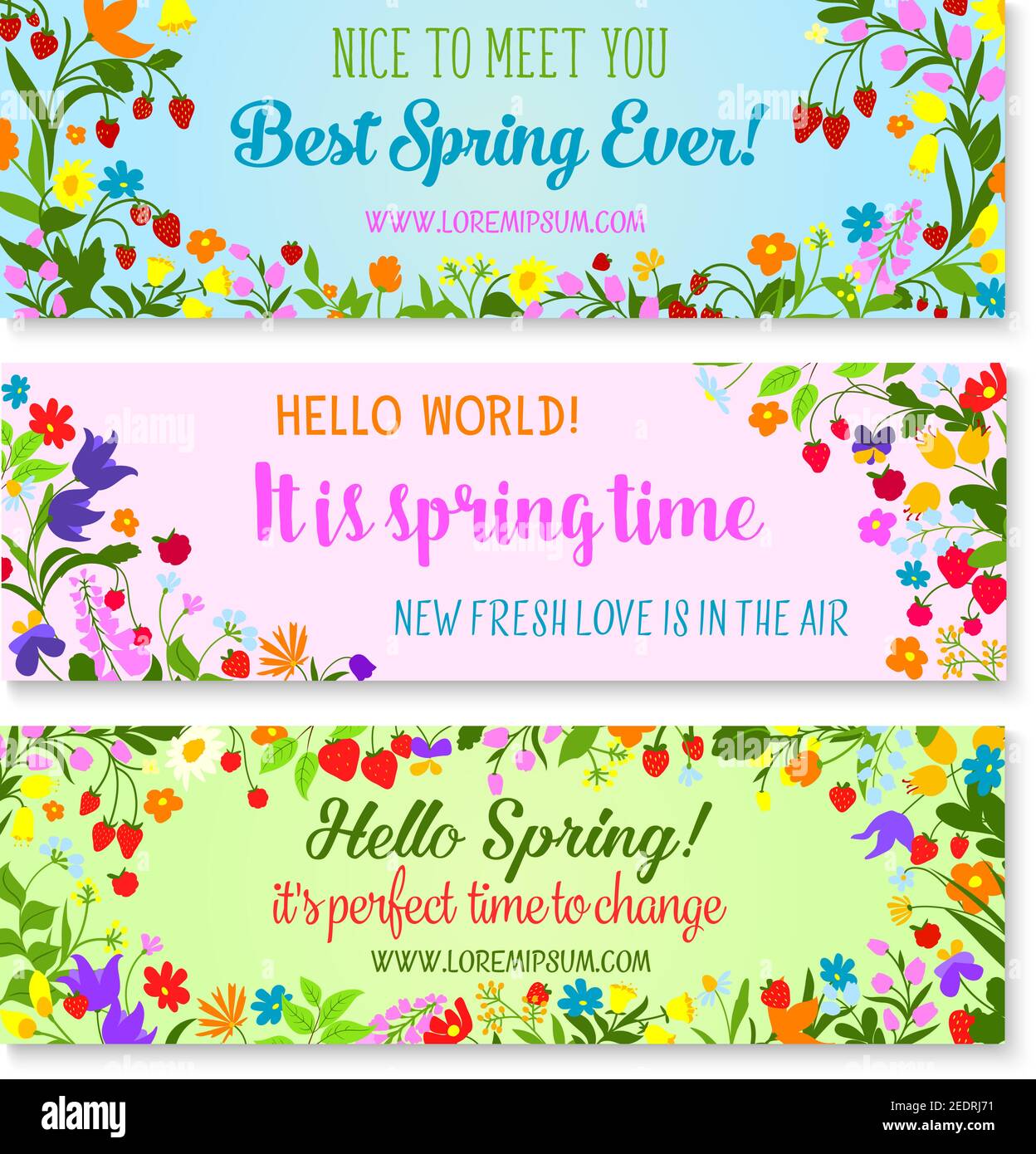 Bonjour Printemps et Spring Time citations de salutation sur le jeu de bannières vectorielles. Couronne et bouquets fleuris au printemps, tulipes de jardin ou Marguerite Illustration de Vecteur