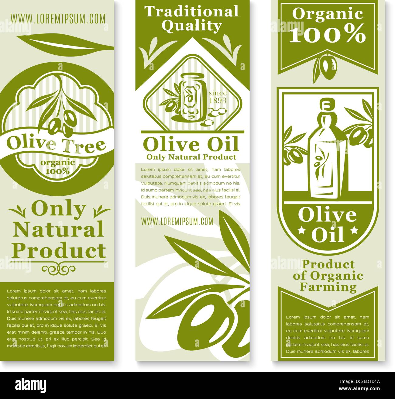 Modèle de bannière à l'huile d'olive et aux fruits. Branches vertes d'olivier aux fruits et feuilles, bouteille d'huile et symboles de bocal d'olives de table avec ruban et étoile Illustration de Vecteur