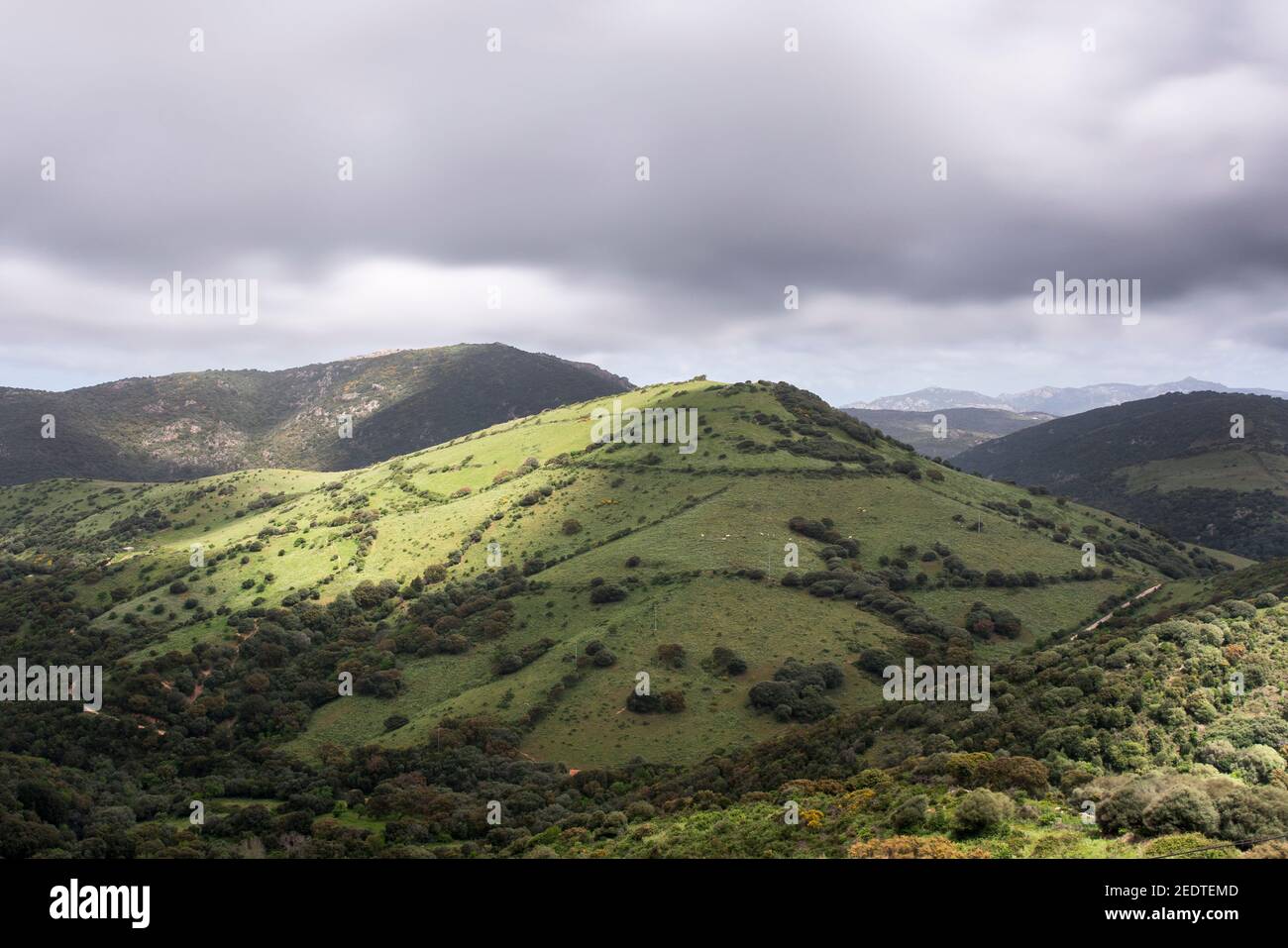 Un ciel nuageux projette des ombres sur une colline en Sardaigne campagne Banque D'Images