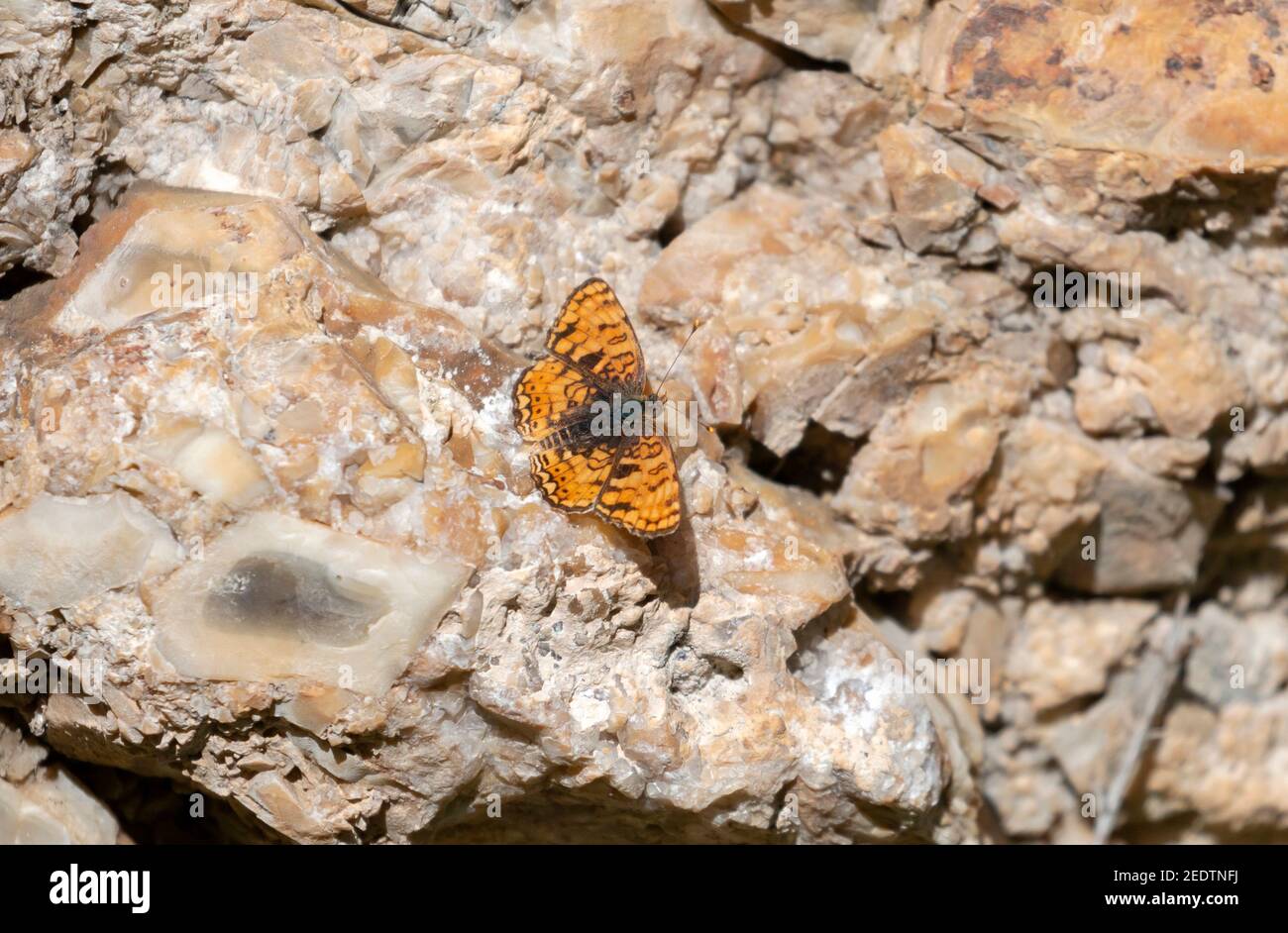 Pâle Crescent 13 juillet 2019 Hell Canyon, Dakota du Sud Banque D'Images