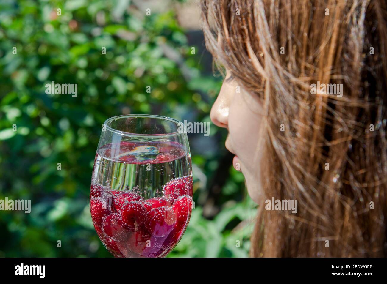 Une fille aux cheveux longs tient un verre de fizzy buvez et des baies de cerises mûres rouges avec un mélange de fizzy buvez sur le fond du feuillage vert de Banque D'Images