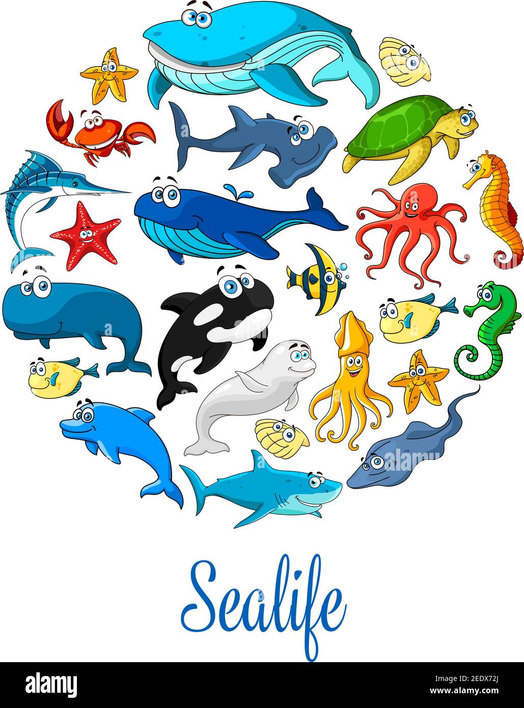 Affiche Sealife représentant le dauphin de mer, la baleine et le requin, le phoque, l'étoile de mer et l'hippocampe, la raie et la tortue. Animaux de l'océan vectoriels calmars et méduses, poissons clown Illustration de Vecteur