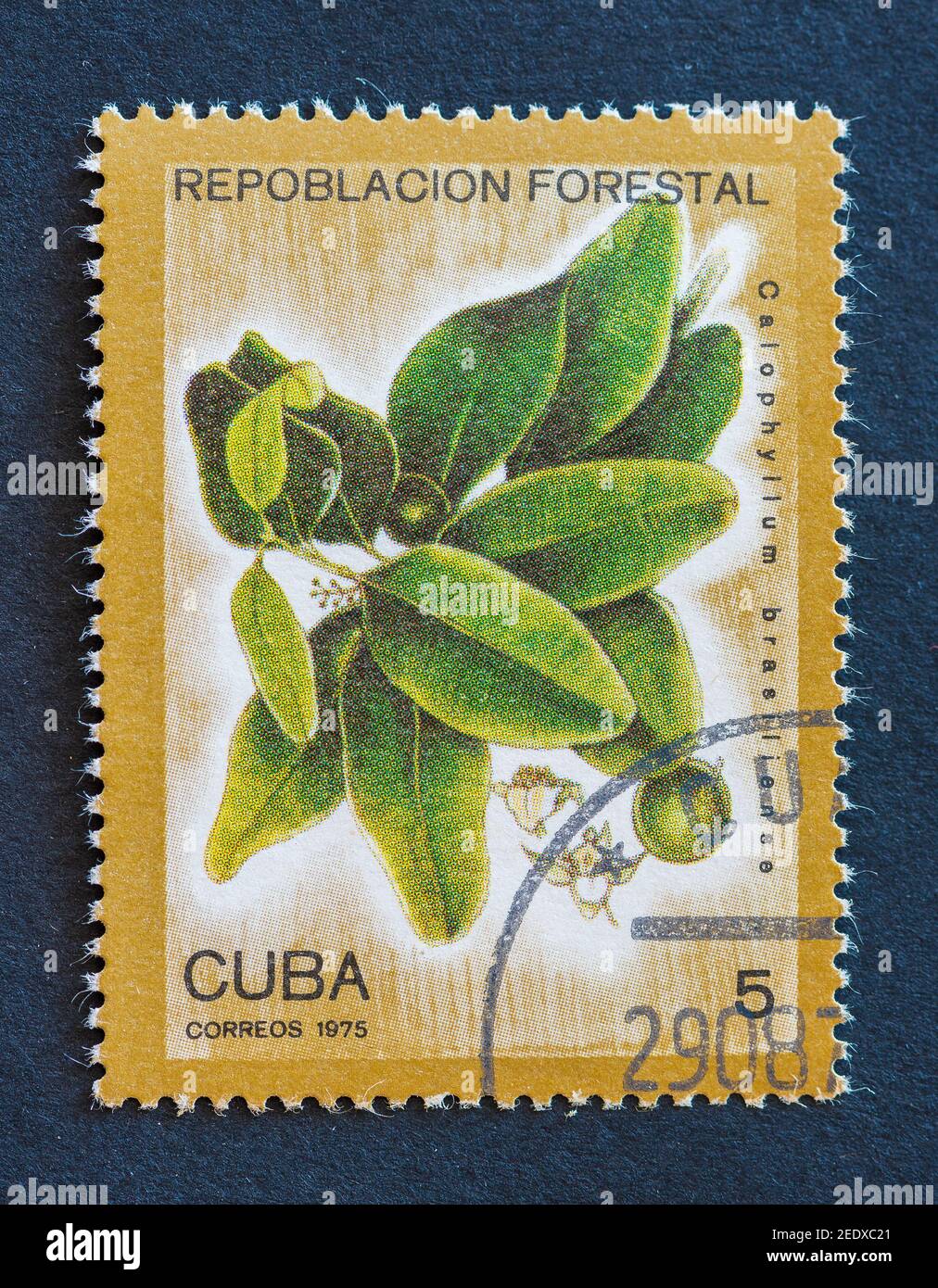 Vieux timbres postaux cubains millésimés Banque D'Images
