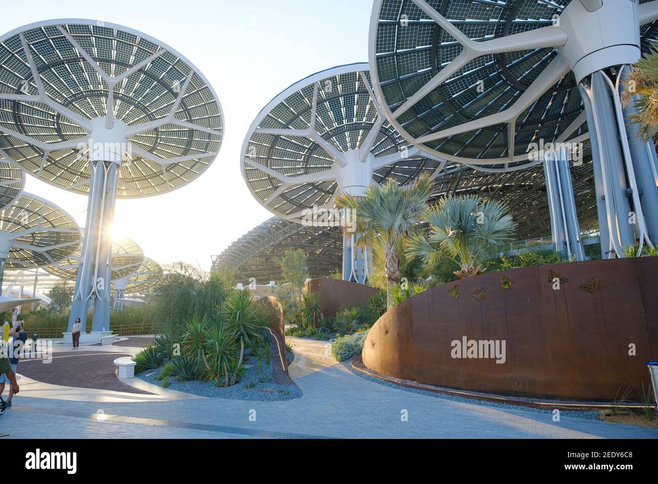Dubaï, Émirats Arabes Unis - 02.13.2021 : le Terra Sustainability Pavilion de l'EXPO 2020 construit pour l'EXPO 2020 qui se tiendra en 2021 aux Émirats arabes Unis. Banque D'Images