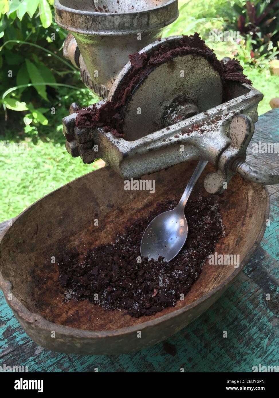 Gros plan du moulin à grains de cacao au chocolat, mélange de sucre de canne et de fèves de cacao pour faire du chocolat Banque D'Images