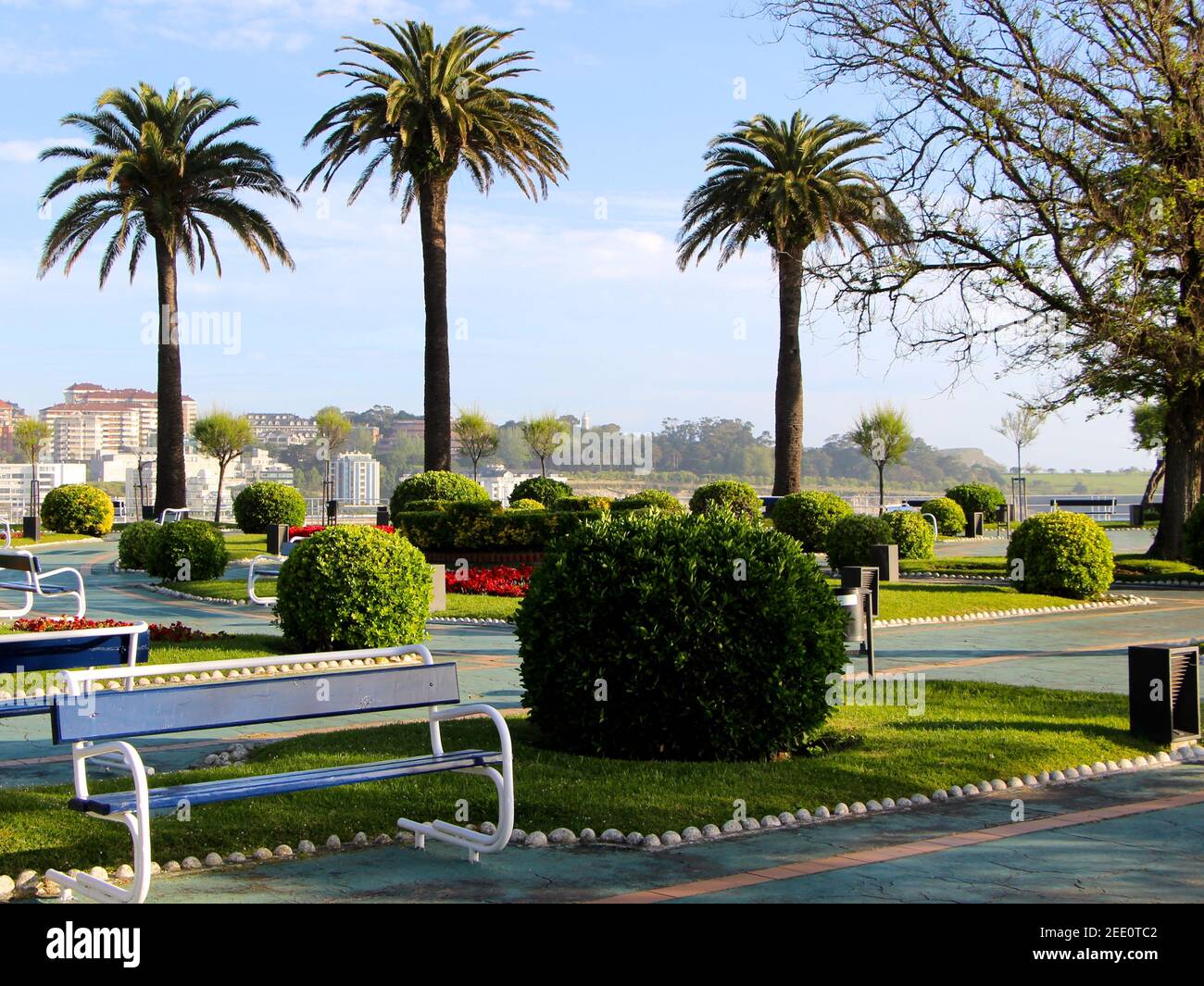 Vider Piquio Gardens Spring avec Phoenix dactylifera Date palmiers buissons et bancs tôt le matin au soleil Banque D'Images