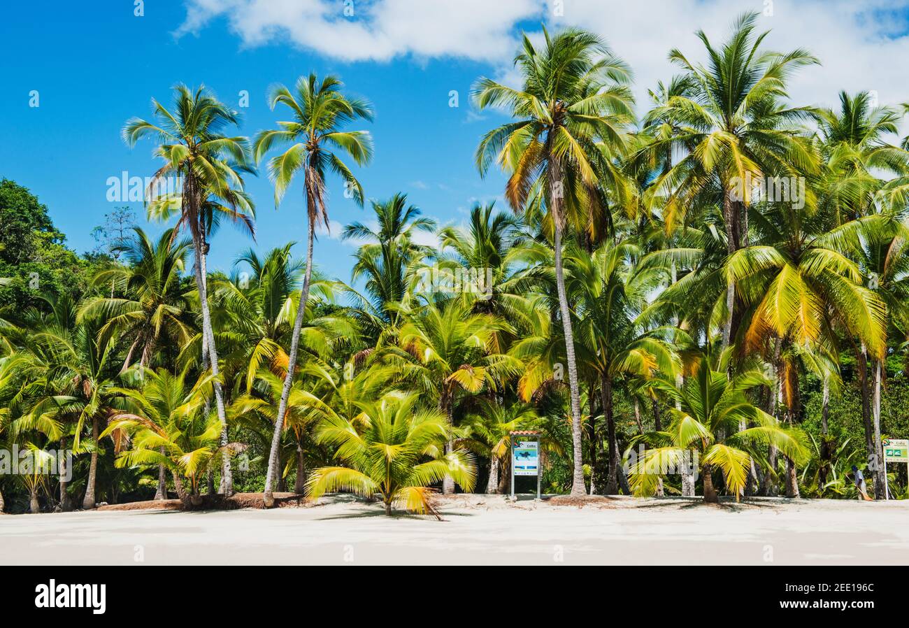 Plages de l'île de Coiba, santa catalina, Panama, Amérique centrale Banque D'Images