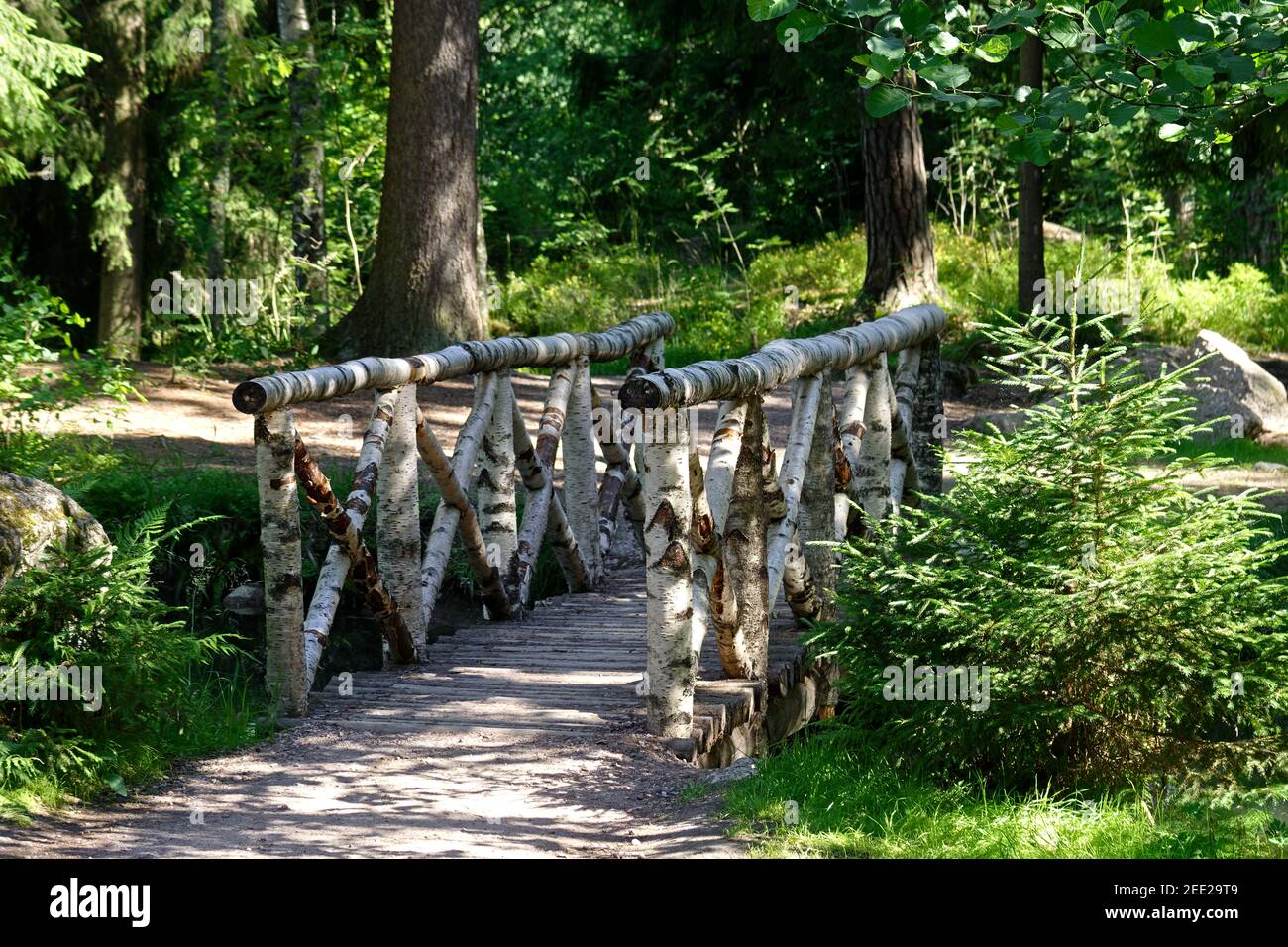 Passerelle au-dessus d'un étang avec une rampe de bâtons de bouleau couverts d'écorce de bouleau dans une forêt d'été. Banque D'Images