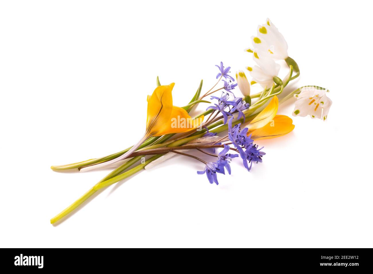 Bouquet de fleurs isolé sur fond blanc Banque D'Images