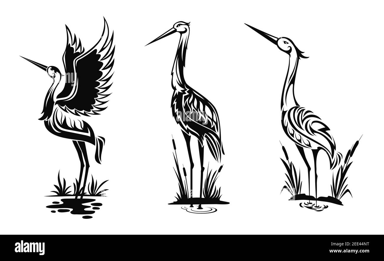 Icônes vectorielles d'oiseaux de Heron ou de Wader, silhouettes noires de harn se trouvent dans l'eau des marais avec des roseaux isolés sur la vue latérale blanche barboter dans le marais, aigrettes avec orn Illustration de Vecteur