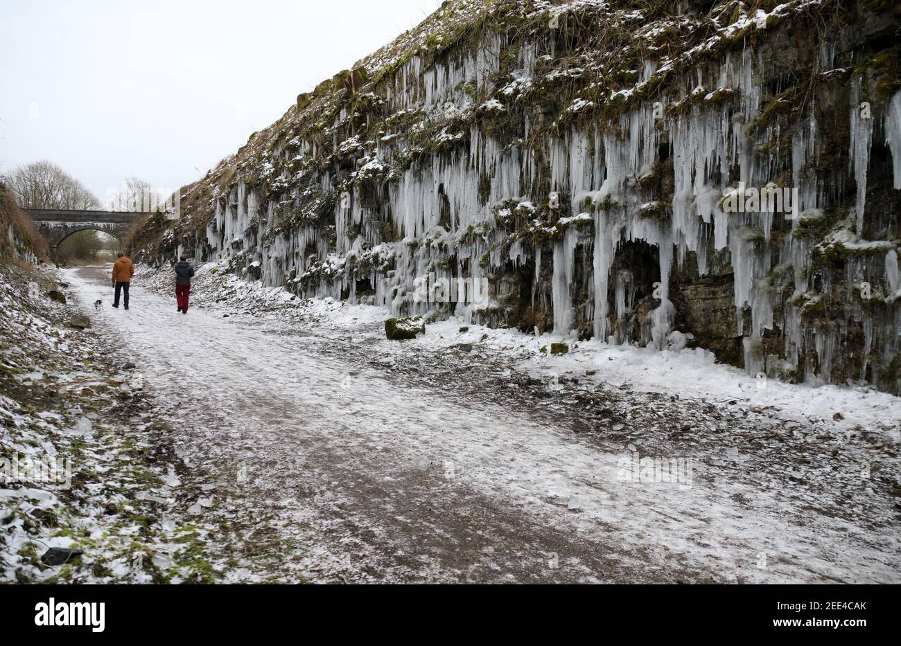 Chien marchant sur un sentier de Monsal froid glacial dans le Derbyshire Banque D'Images