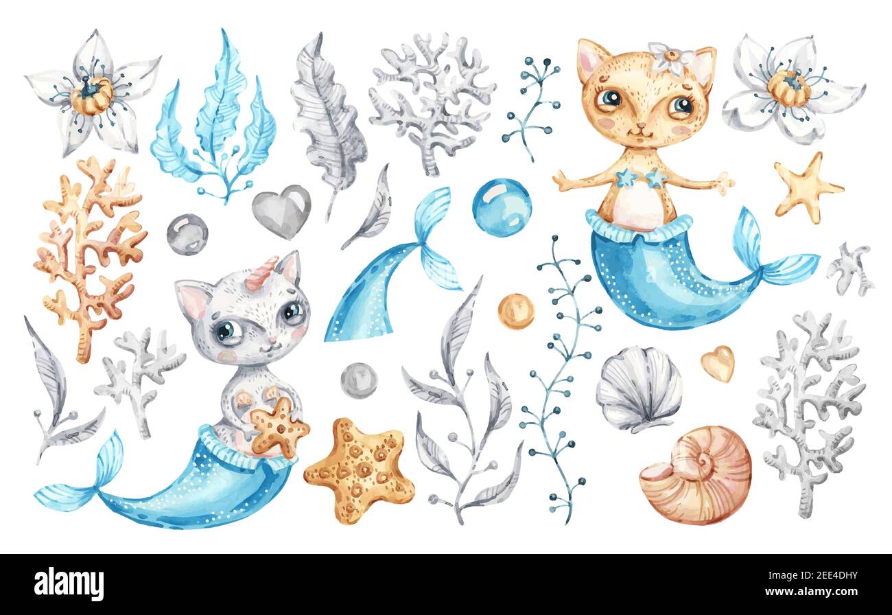 Sirene De Chat Licorne Bebe Mignonne Fille Aquarelle Dessin Anime De Pepiniere Animaux De Mer La Vie Magique Marine Image Vectorielle Stock Alamy