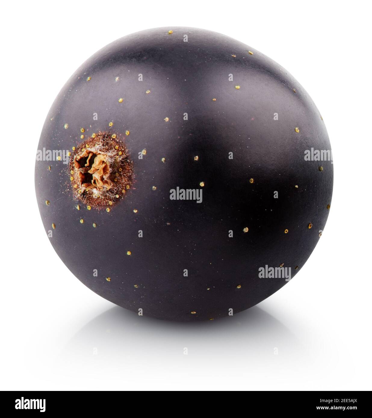 Baie de cassis isolée sur fond blanc. Cassis avec masque Banque D'Images