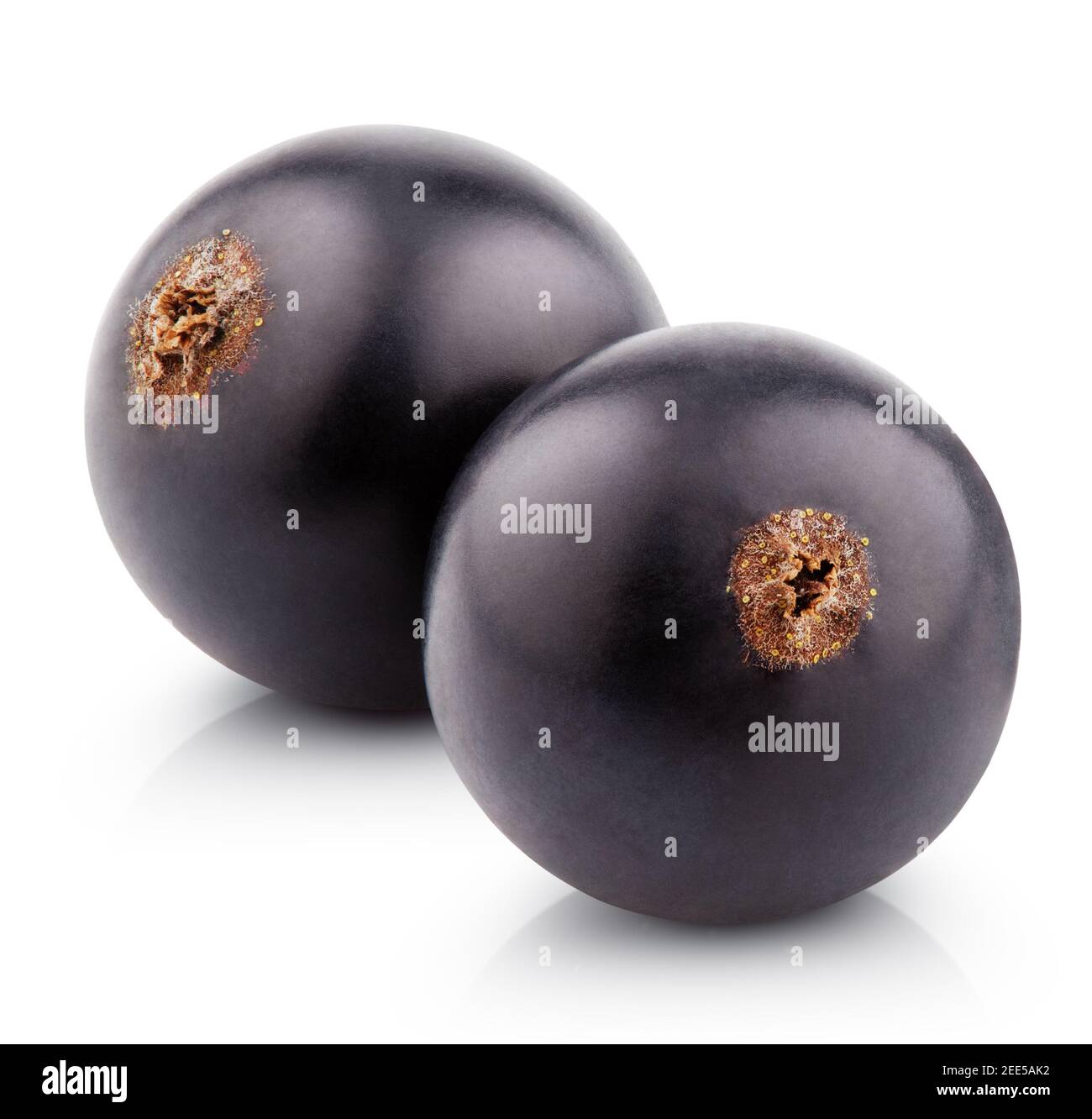 Deux baies de cassis isolées sur fond blanc avec écrêtage chemin Banque D'Images