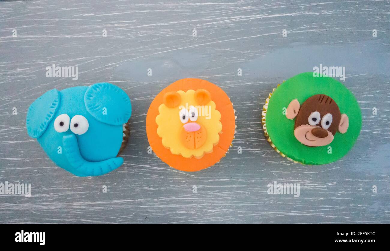 Petits gâteaux décorés de visages d'animaux de la jungle Banque D'Images