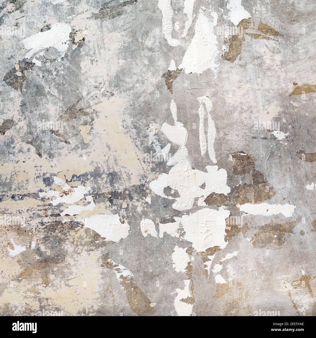 Texture murale en béton vintage. Ancien fond en ciment gris. Banque D'Images