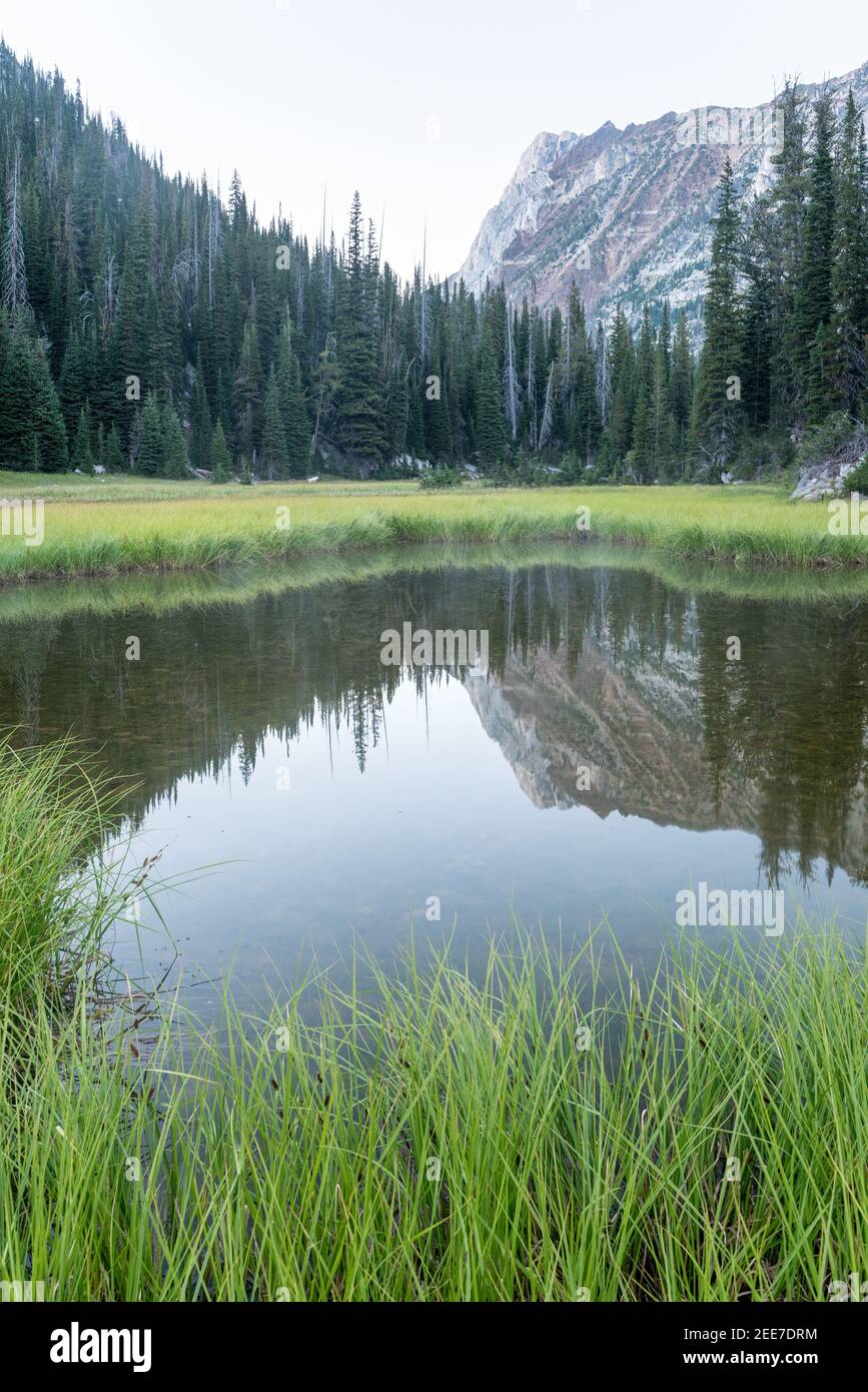 Cervin Peak se reflète dans un étang dans les montagnes Wallowa de l'Oregon. Banque D'Images