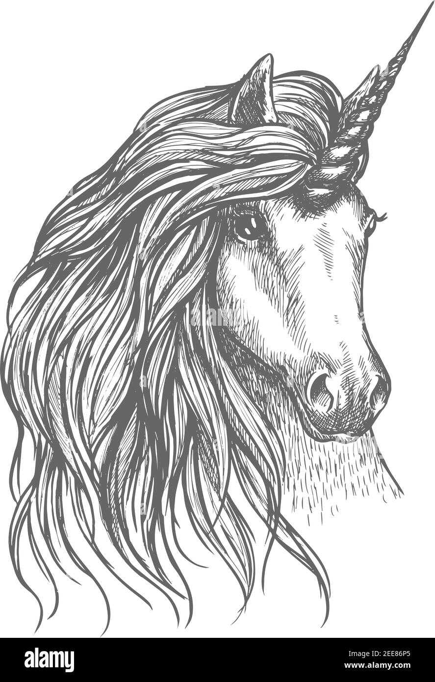 UNICORN esquisse isolée par cheval fantastique. Tête de cheval à cornes magiques avec longue manie ondulée. Tatouage, imprimé t-shirt, motif conte de fées ou légende Illustration de Vecteur