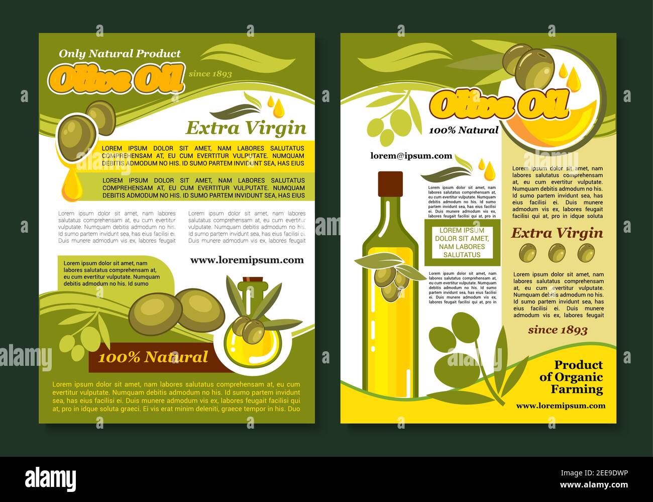 Modèle d'affiche de produit naturel d'huile d'olive. Bouteille d'huile d'olive biologique, branche d'olivier avec fruits verts, feuilles et gouttes d'huile pour une alimentation végétarienne saine Illustration de Vecteur