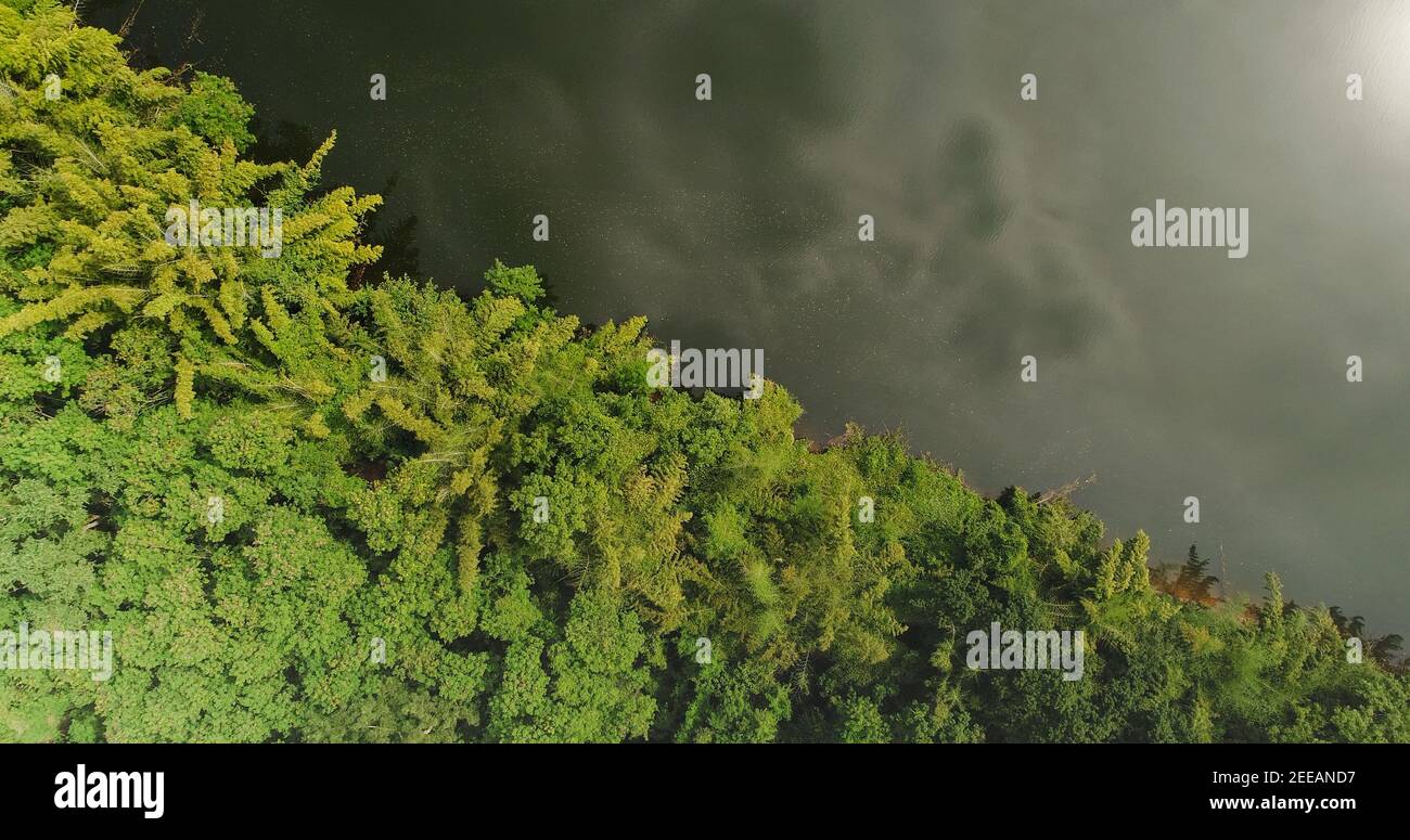 Belle forêt tropicale verte au bord de la rivière avec le reflet des nuages, vue de dessus tir de drone aérien Banque D'Images
