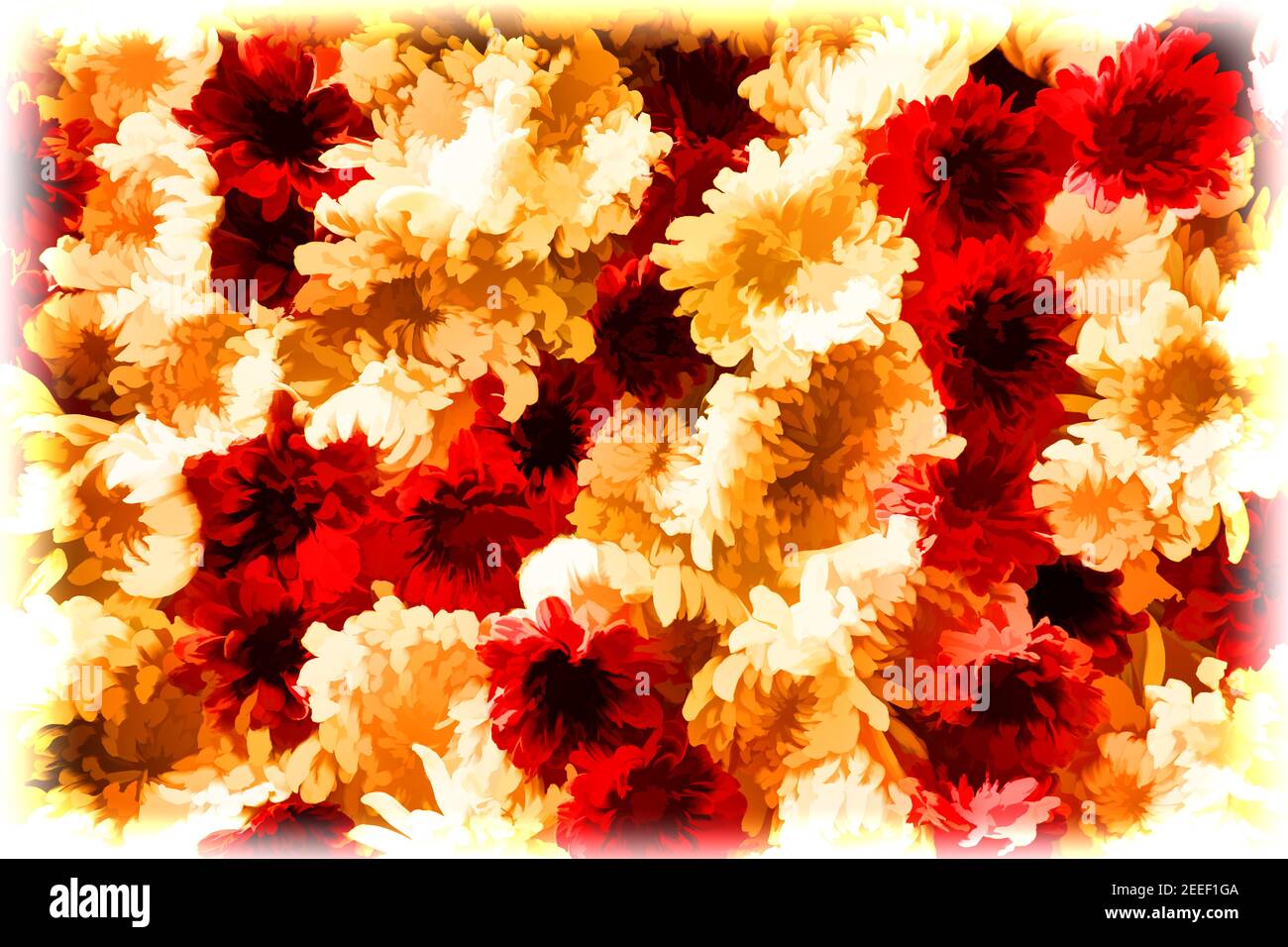 Fleur rouge orange sur fond abstrait à cadre blanc. Illustration numérique  de l'abstraction florale. Texture de fleur décolorée. Motif marguerites  flou dans un col chaud Photo Stock - Alamy