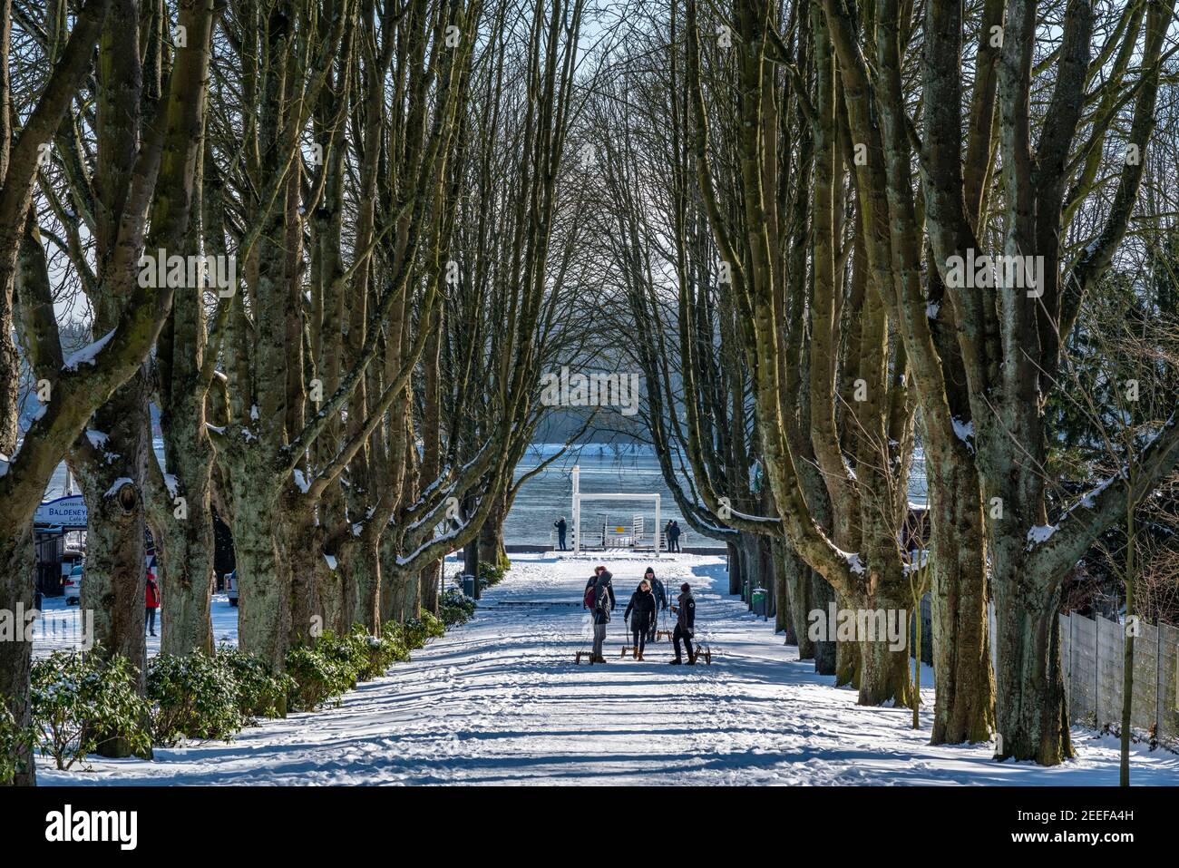 Hiver dans la région de la Ruhr, Baldeneysee, couvert de neige, lac partiellement gelé, avenue d'arbres menant à la rive, étape d'atterrissage du lido, Essen, NRW, Allemagne, Banque D'Images