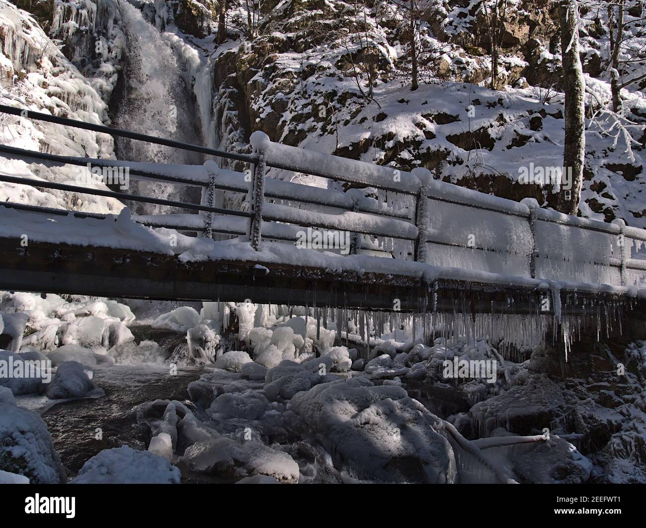 Partie supérieure des célèbres chutes d'eau Todtnauer Wasserfälle avec passerelle enneigée et rochers gelés en hiver le jour ensoleillé dans la Forêt-Noire. Banque D'Images