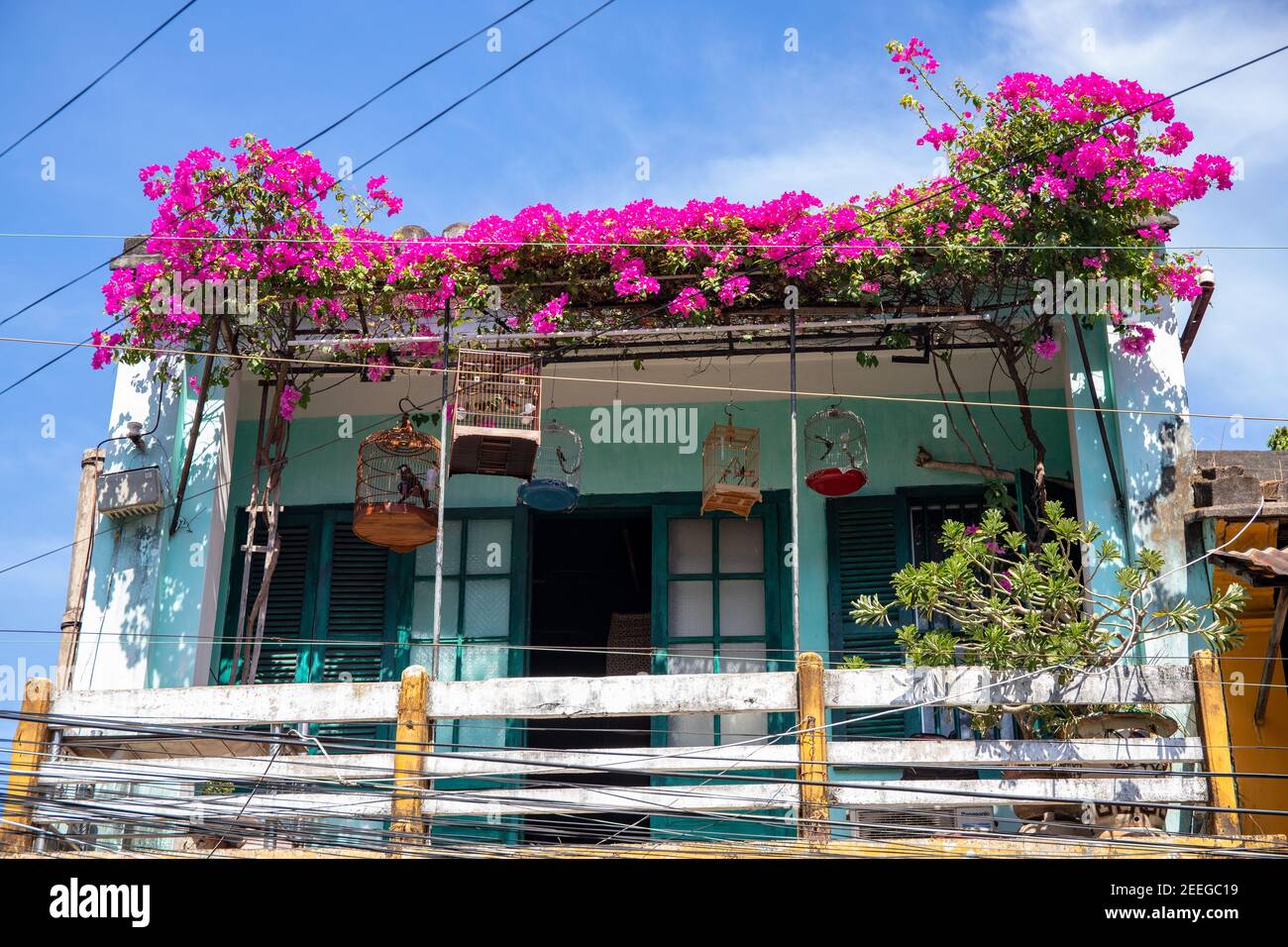 Balcon de la vieille maison avec fleurs roses et cages à oiseaux. Bougainvilliers fleuris sur le balcon et le toit de la maison asiatique. Architecture coloniale française à Hoi an. Être Banque D'Images