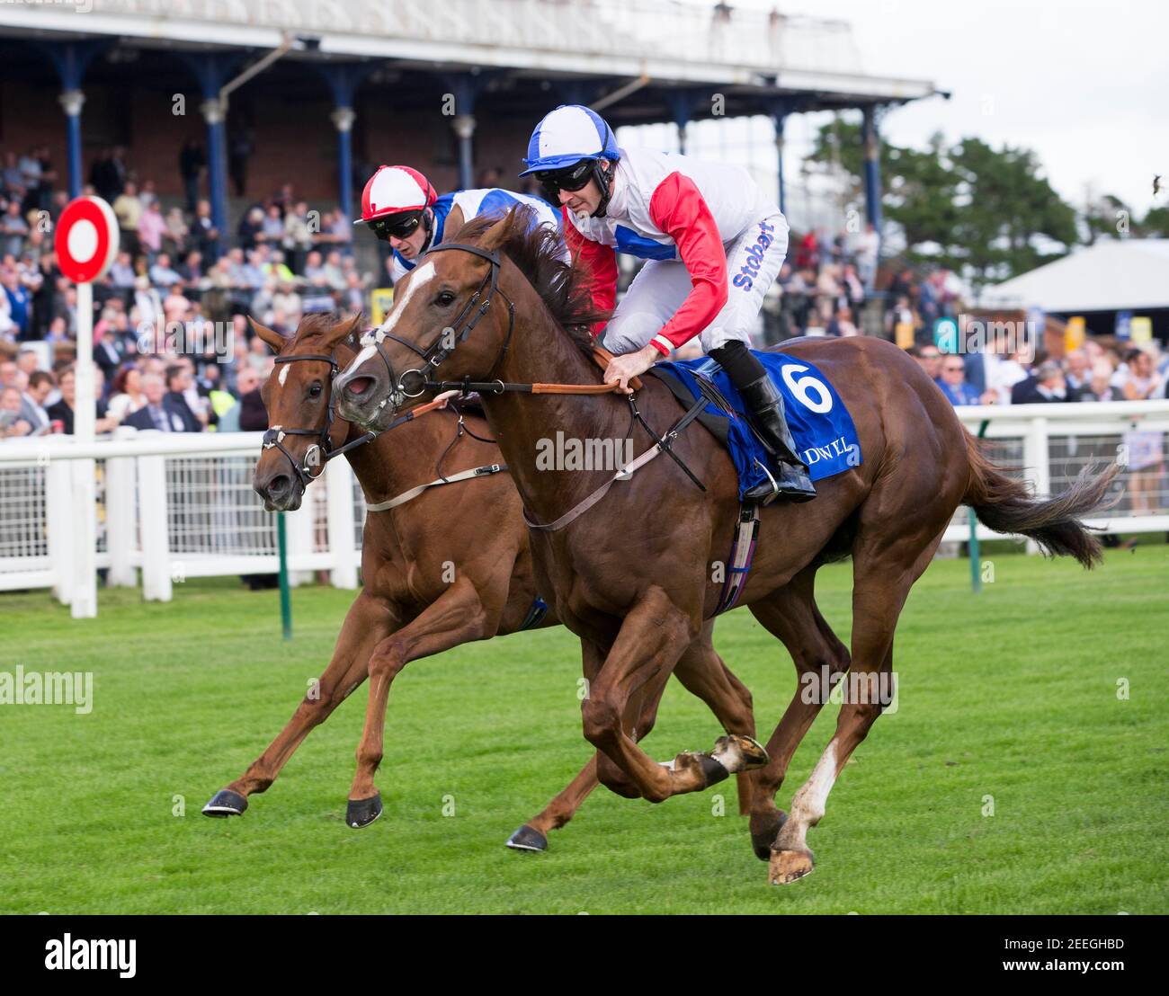 Photo du dossier datée du 16-09-2016, de Tawny Port, monté par Tom Eaves (à droite). Date de publication : le mardi 16 février 2021. Banque D'Images
