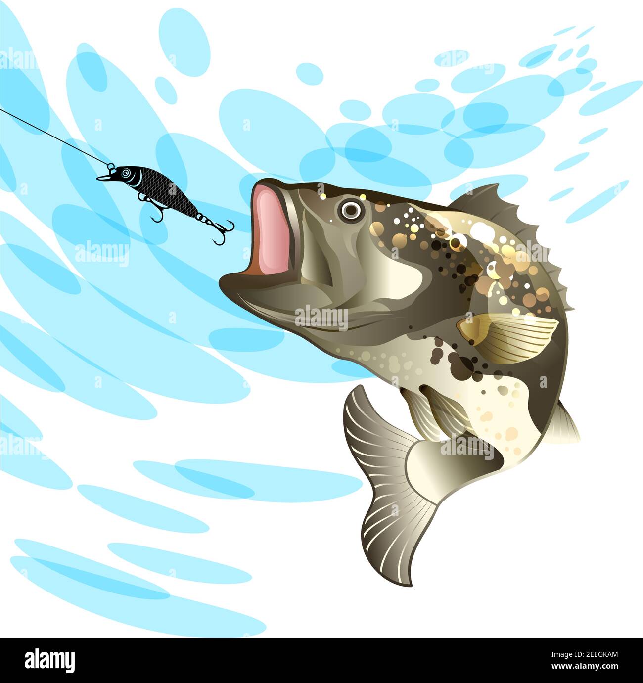 Perch poisson pourchassant l'appât sur le fond d'une éclaboussure d'eau, image vectorielle colorée Illustration de Vecteur