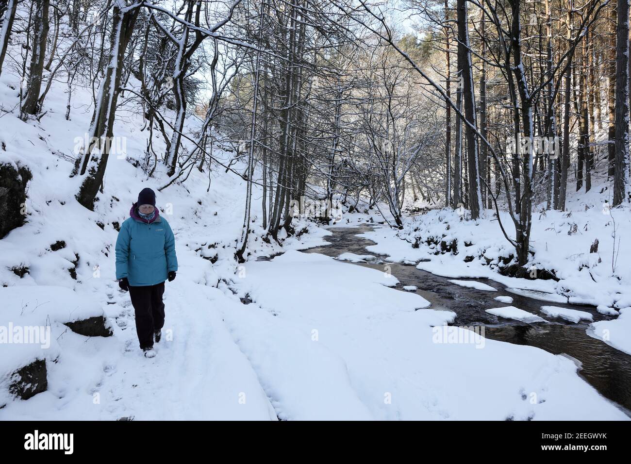 Une femme s'est bien enveloppée pour le froid en profitant d'une promenade dans la neige à côté de Bowles (Bow Lee) Beck, en aval de Summerhill Force, Teesdale, comté Durh Banque D'Images