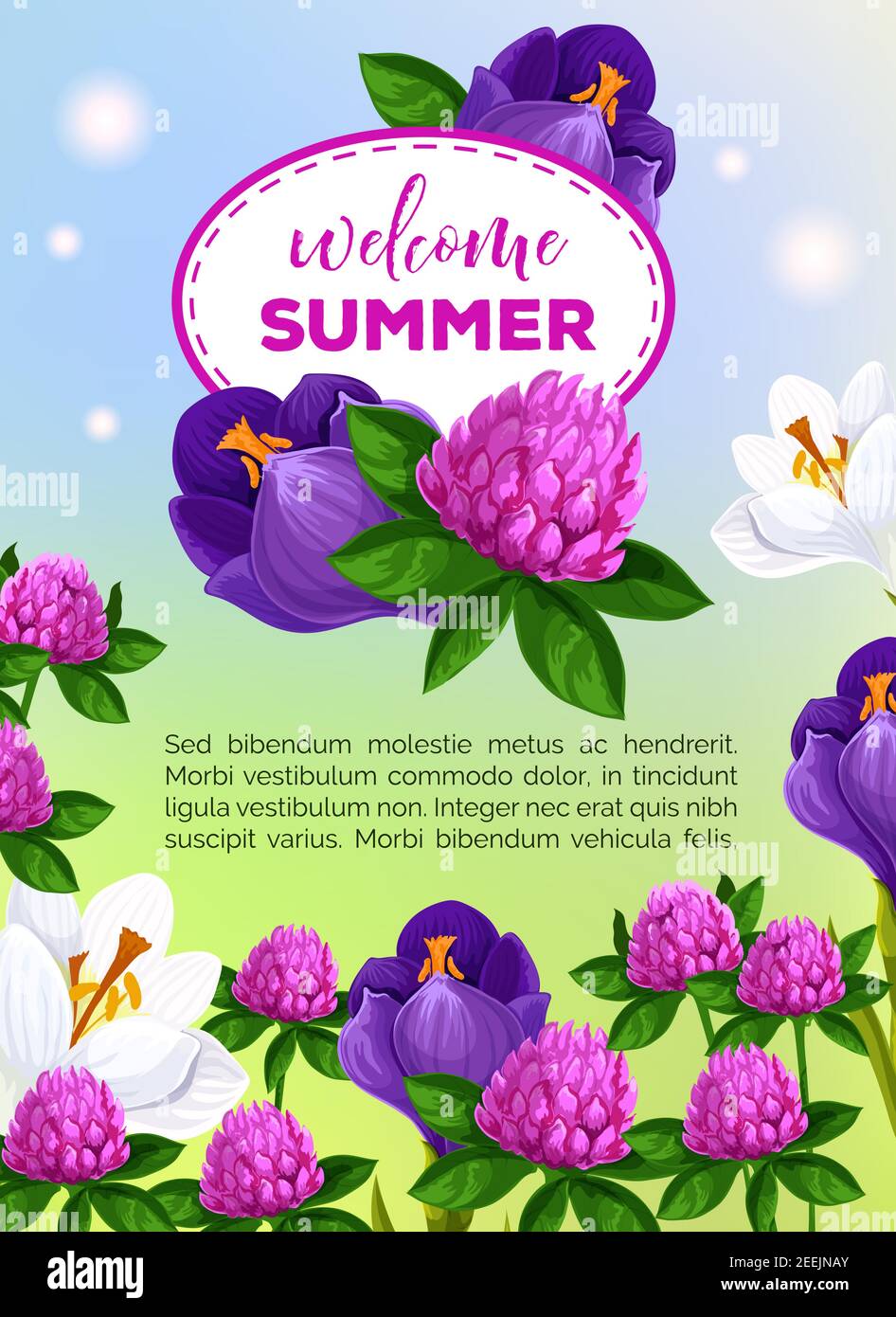 Carte de voeux vecteur d'été de bienvenue de bouquets de fleurs d'été. Motif floral de fleurs d'iris, de alto et de crocus ou de trèfle et de papillon Illustration de Vecteur