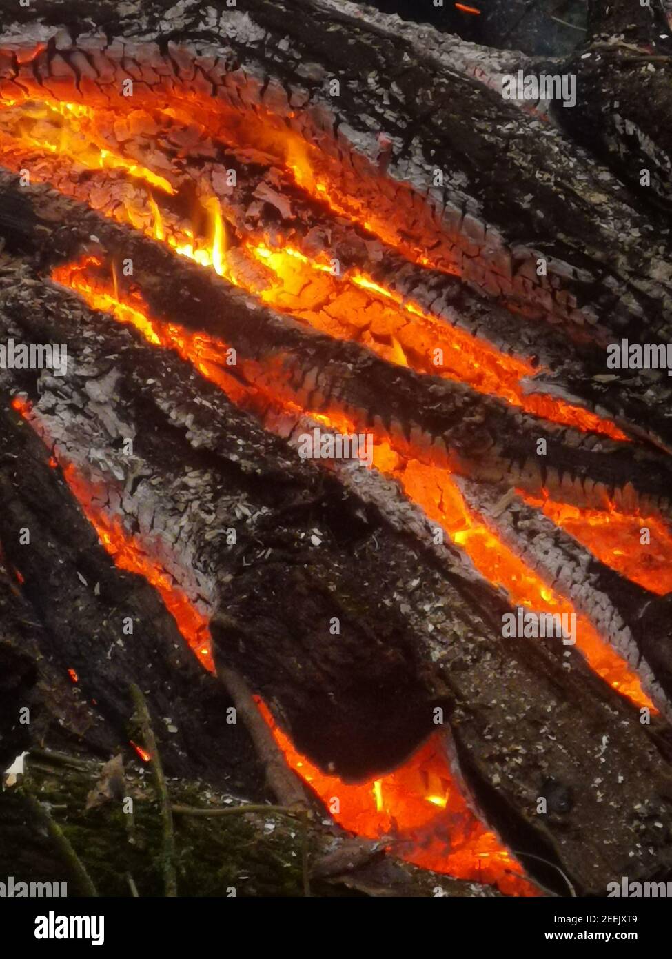 Image portrait d'ébres en feu avec des pièces carbonisées de bois Banque D'Images