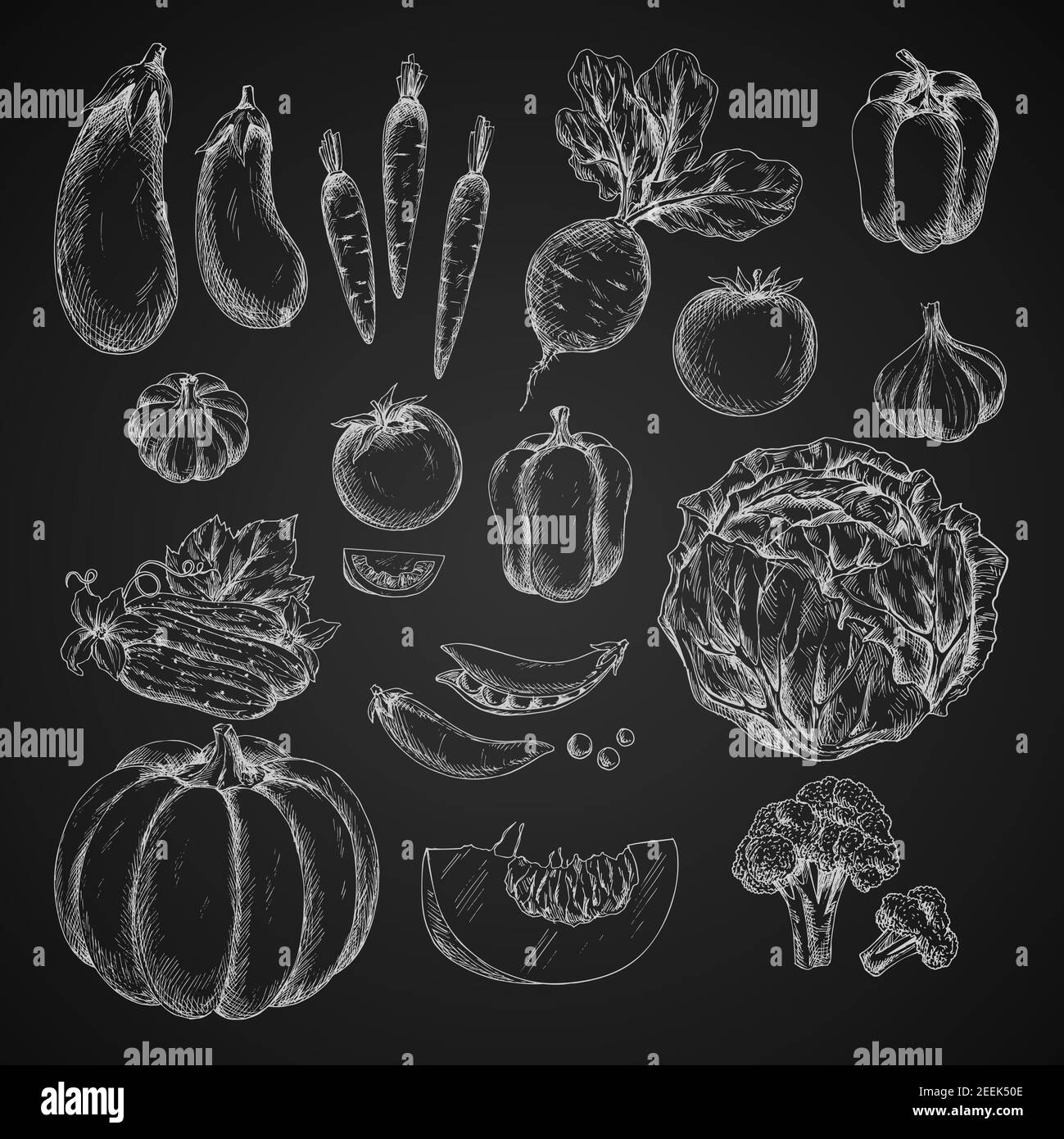 Croquis de légumes sur tableau noir. Vector a isolé des icônes de chou et de potiron, de brocoli et de pois ou de haricots, de poivron. Légumes de ferme tomate et cucum Illustration de Vecteur