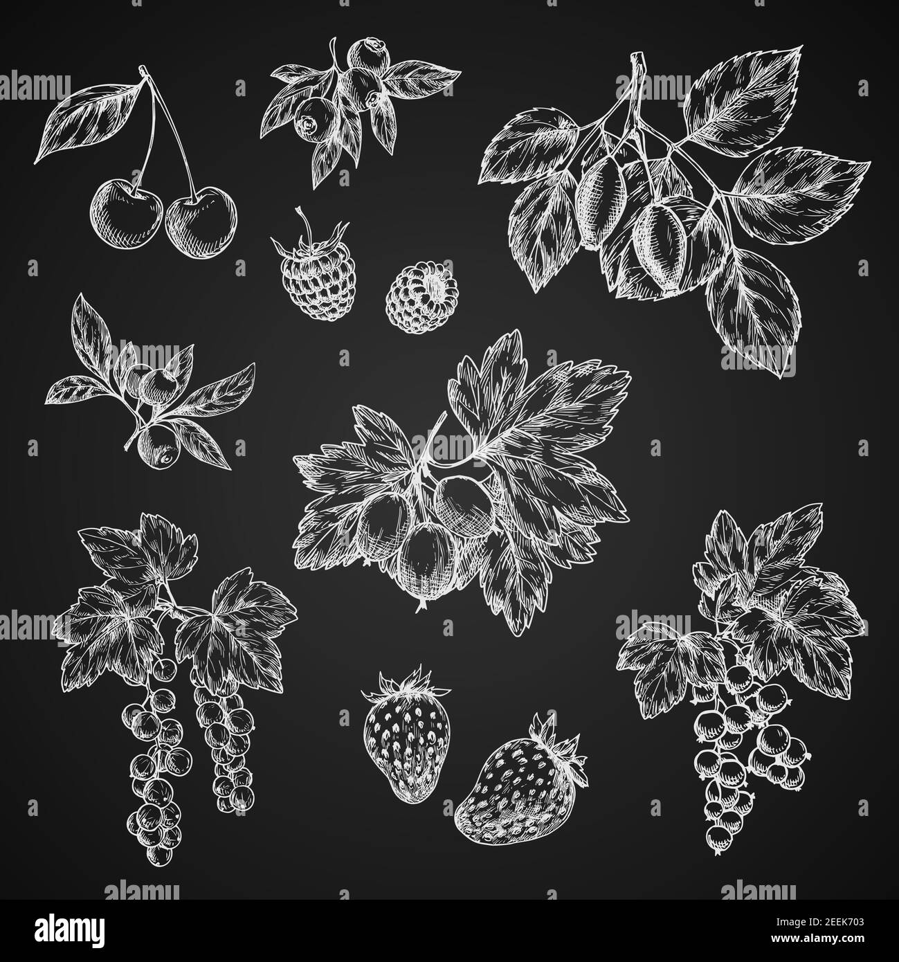 La craie des baies esquisse des icônes isolées sur le tableau noir. Ensemble vectoriel de cerises, fraises ou framboises et groseilles à maquereau, bleuets de la ferme ou noirs Illustration de Vecteur