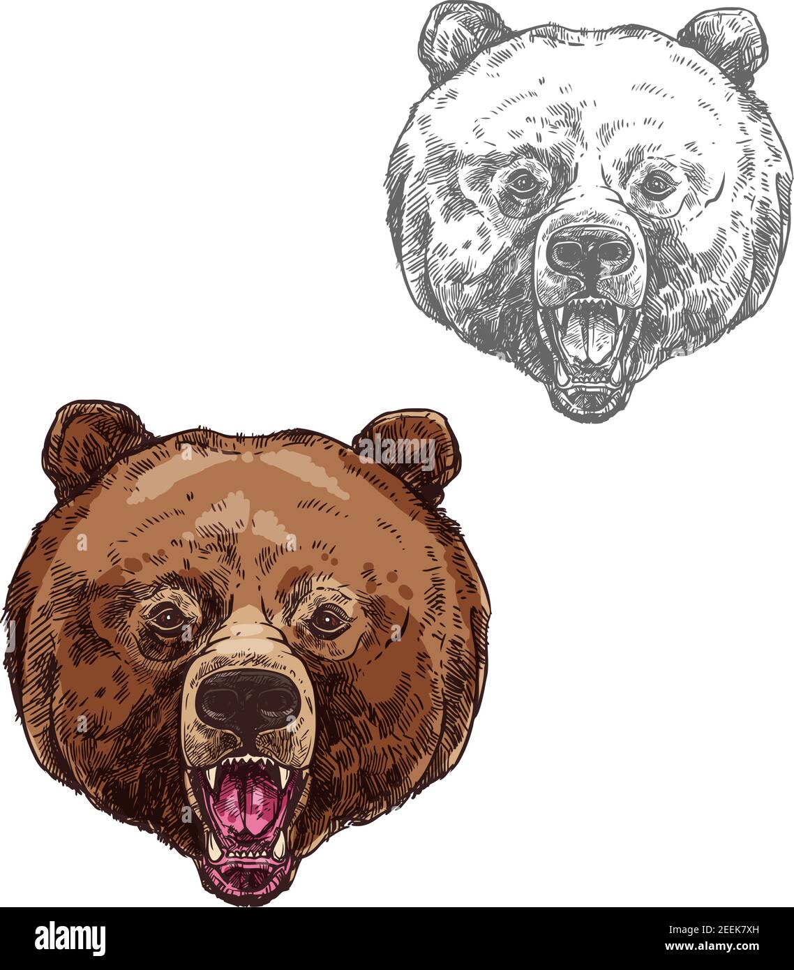 Porter avec une esquisse isolée à bouche ouverte. Tête d'ours brun torrentier, animal sauvage prédateur grizzli icône animal mascotte, symbole du club de chasseurs, faune a Illustration de Vecteur