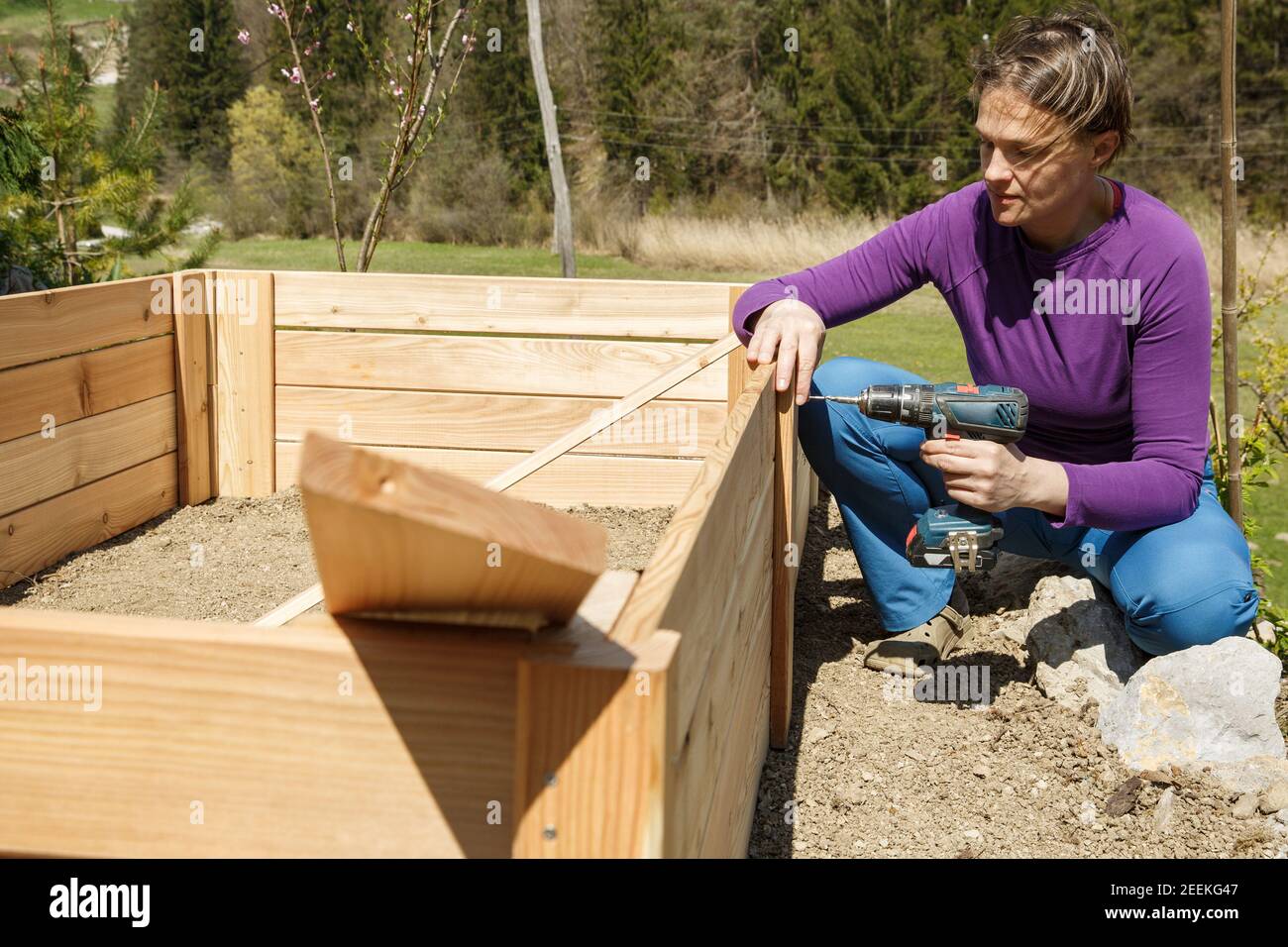 Femme vissant le cadre en bois pour un lit de jardin surélevé. Concept DIY. Femme puissante. Banque D'Images