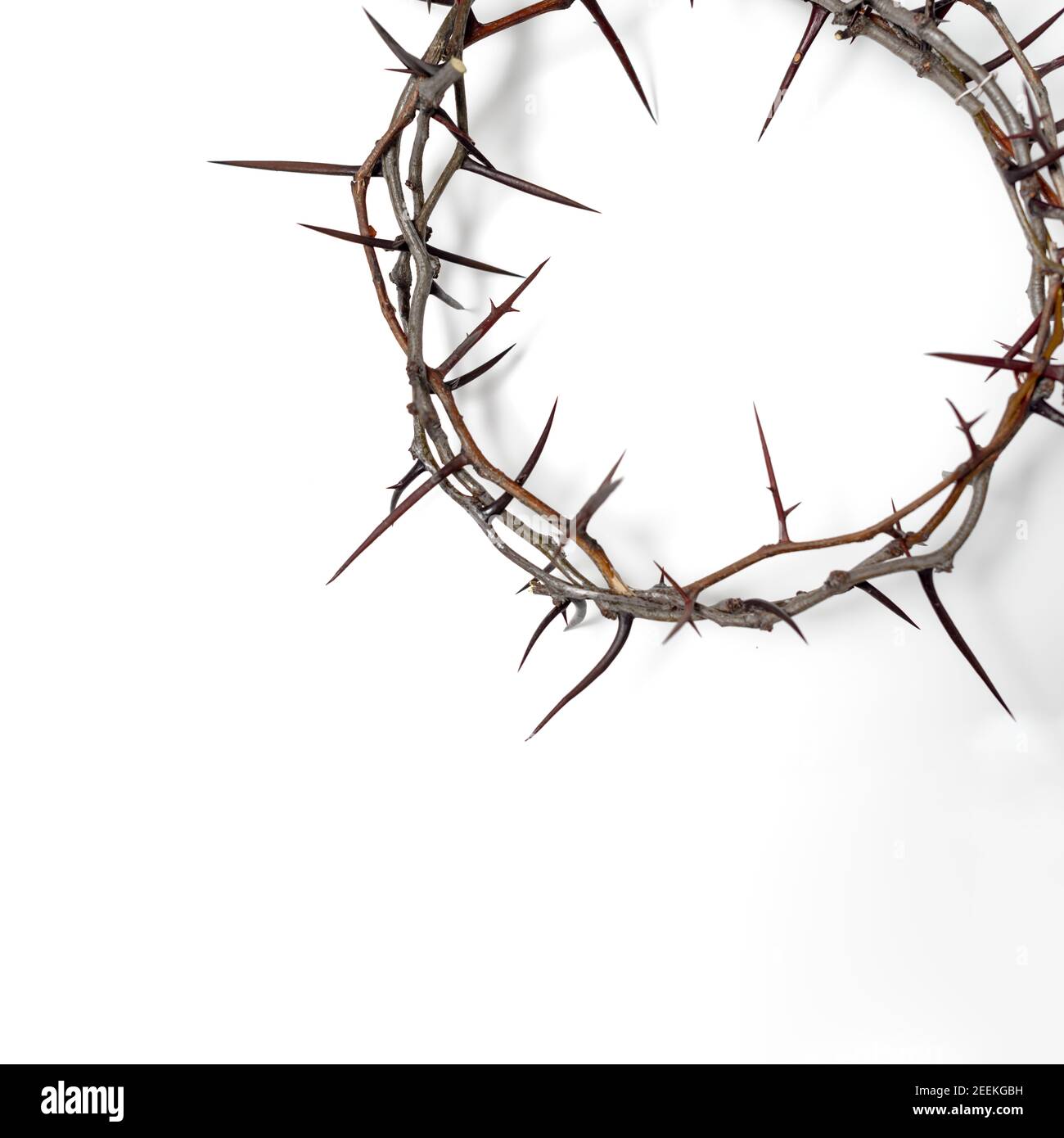 Couronne d'épines Jésus Christ isolaten sur blanc. Copier l'espace Banque D'Images
