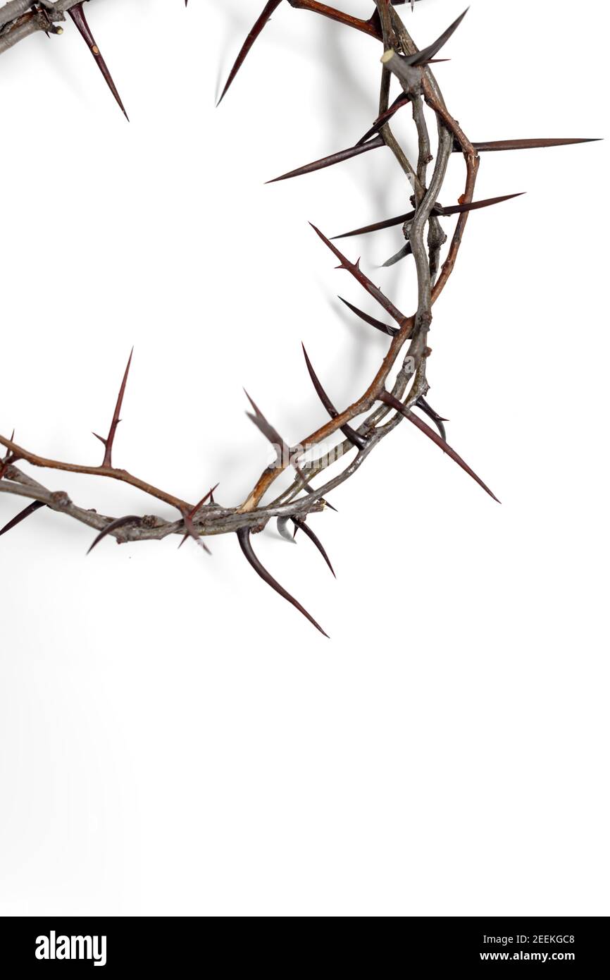 Couronne d'épines Jésus Christ isolaten sur blanc. Copier l'espace Banque D'Images